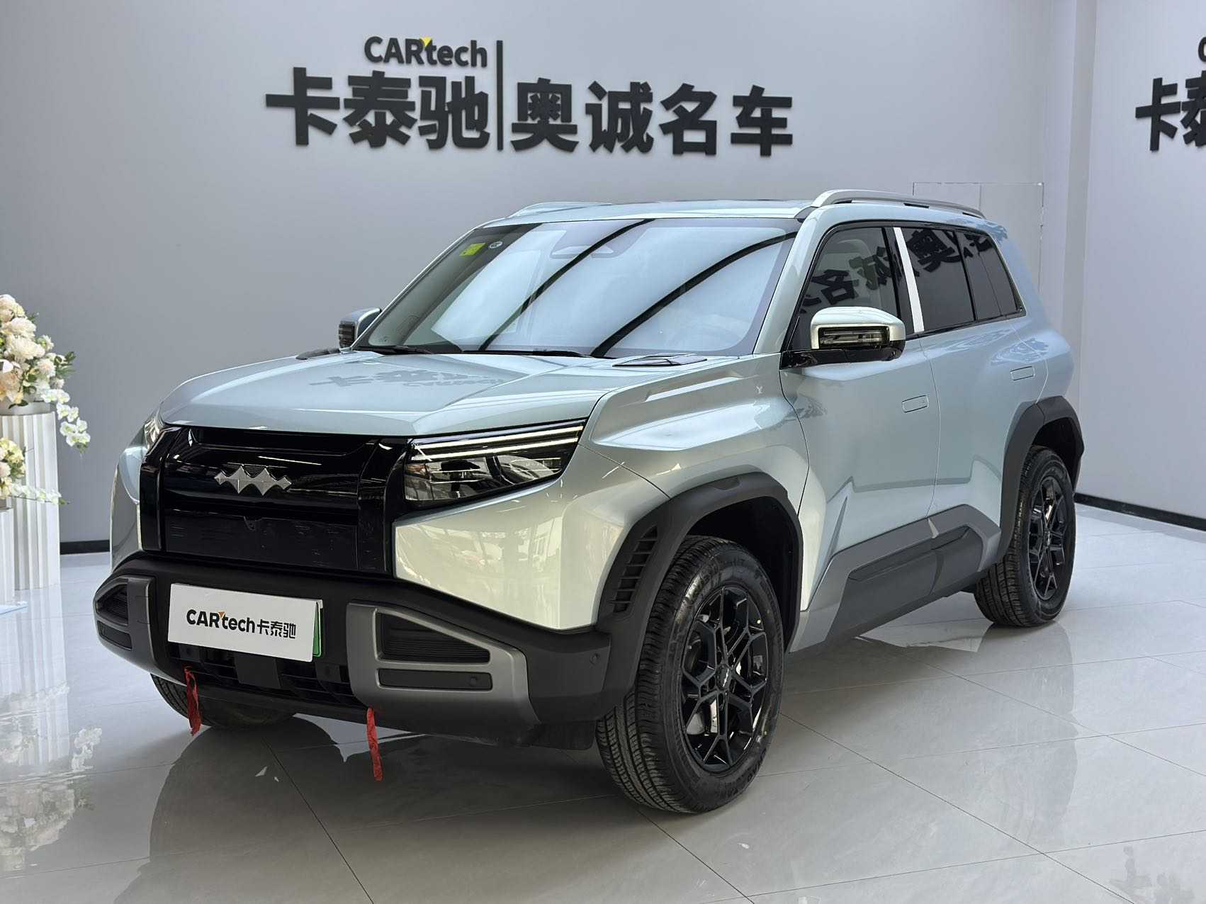 FangChengBao Tiger 3 2025 car image 