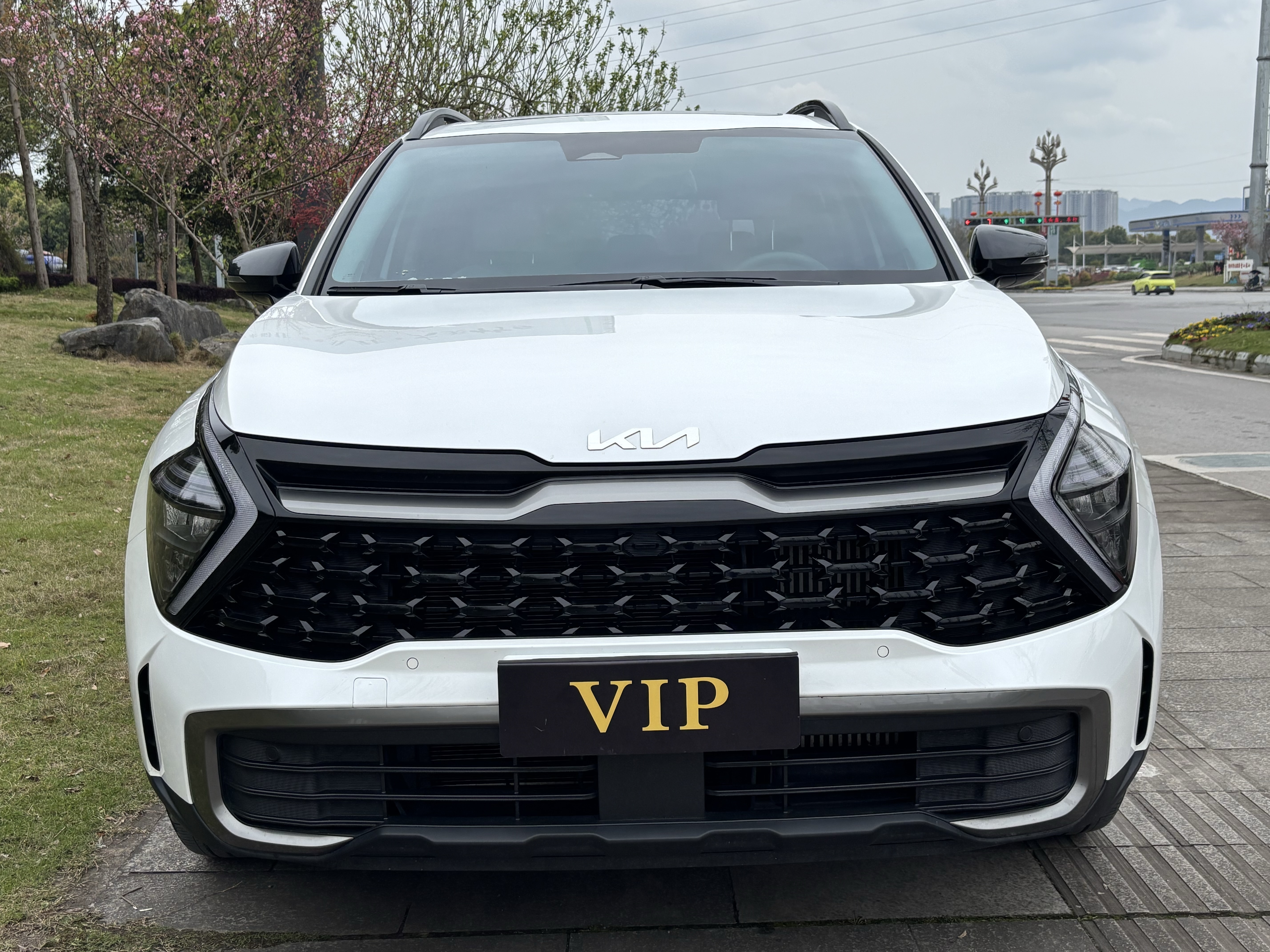 Kia Sportage 2024 汽车图片 