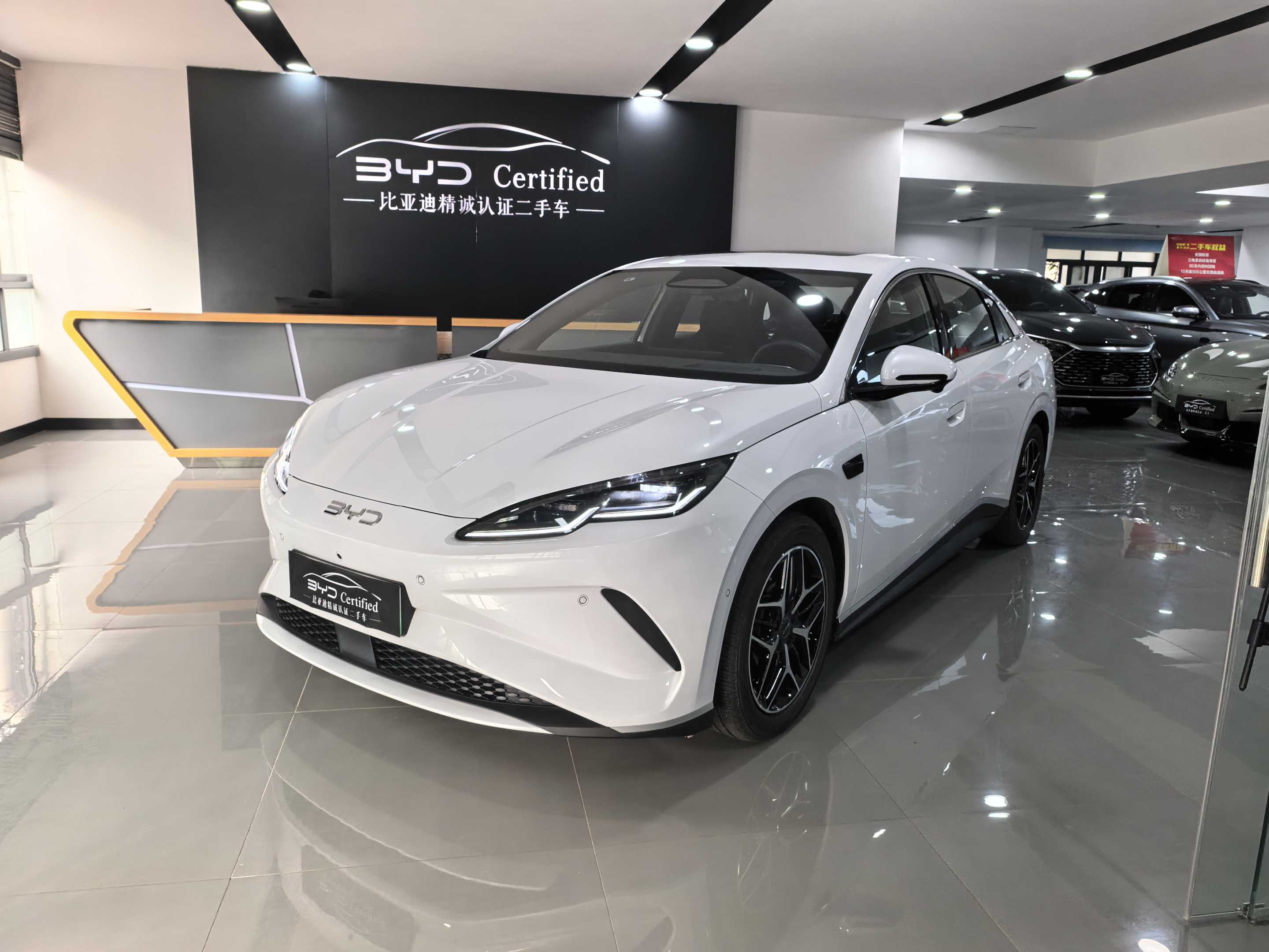 BYD Seal 06 New Energy 2025 car image 