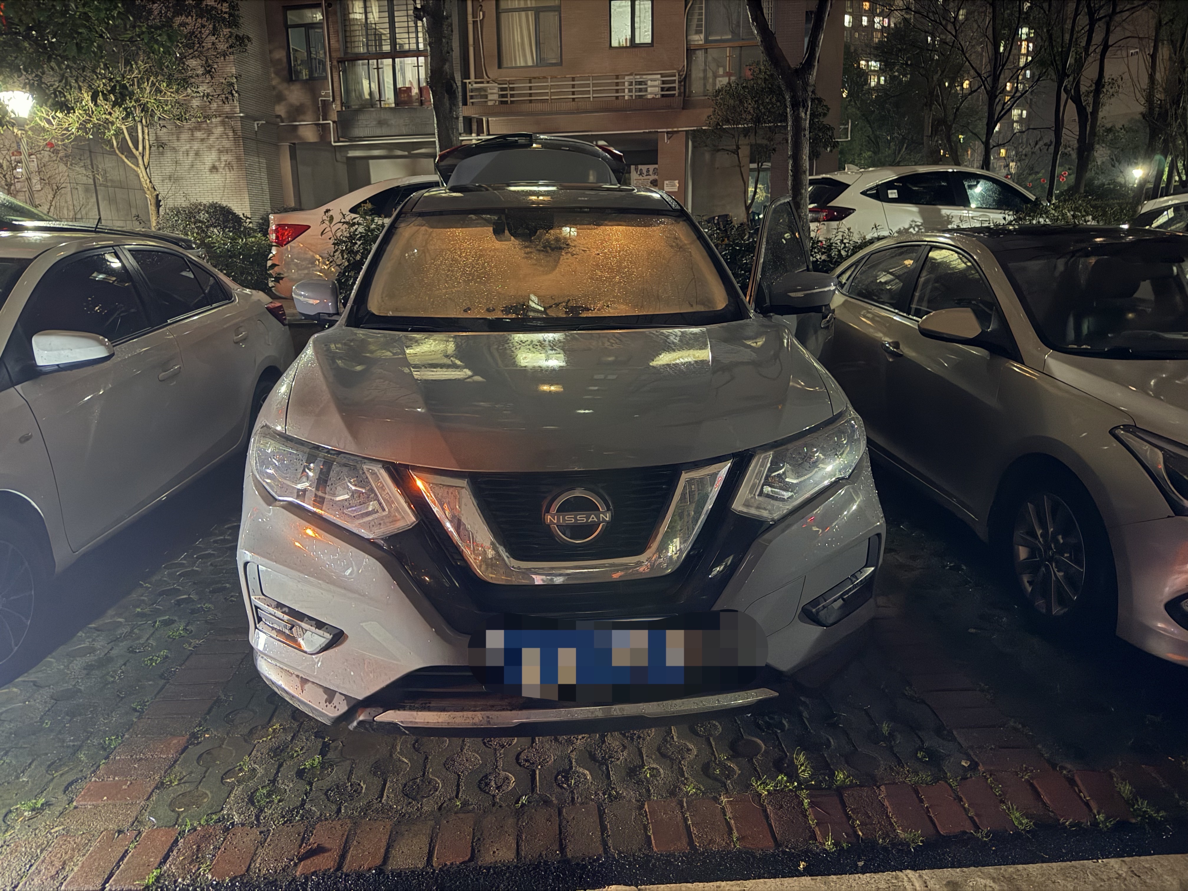 Nissan X-Trail 2025 汽车图片 