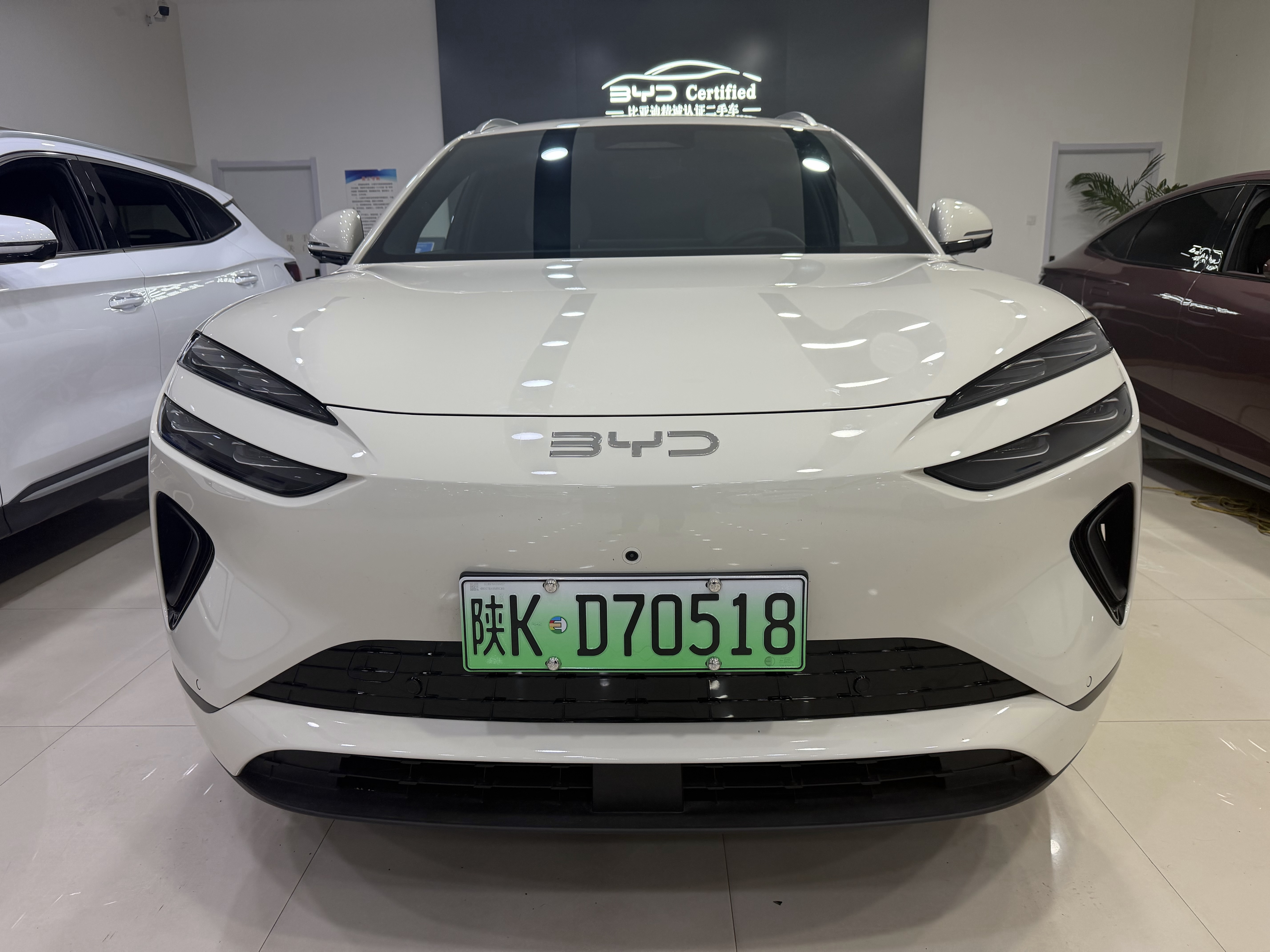 BYD Sea Lion 06 New Energy 2025 car image 