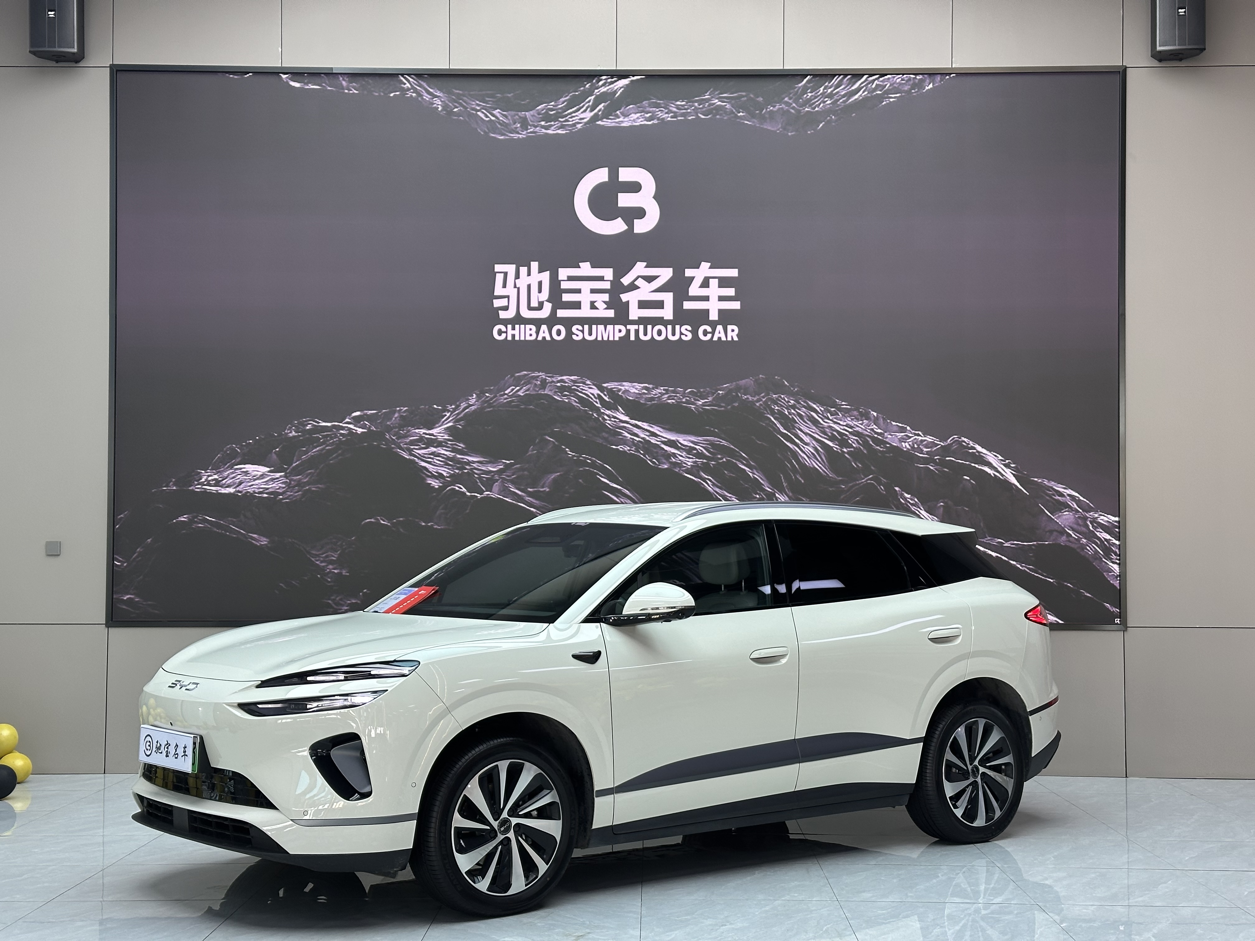 BYD Sea Lion 06 New Energy 2025 car image 