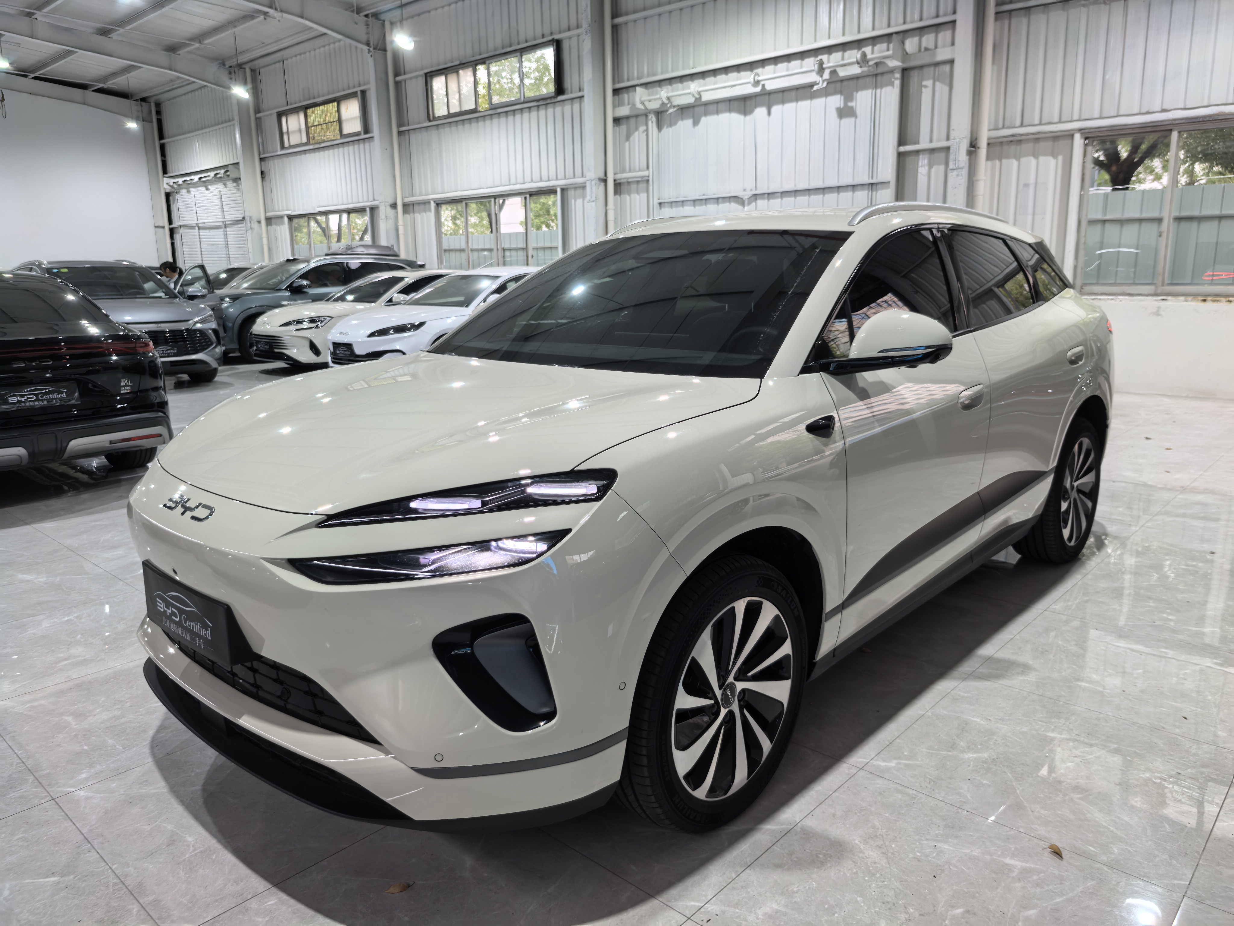 BYD Sea Lion 06 New Energy 2025 car image 