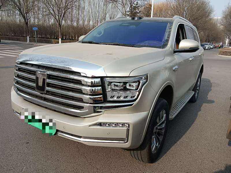 Tank 500 New Energy 2025 car image 