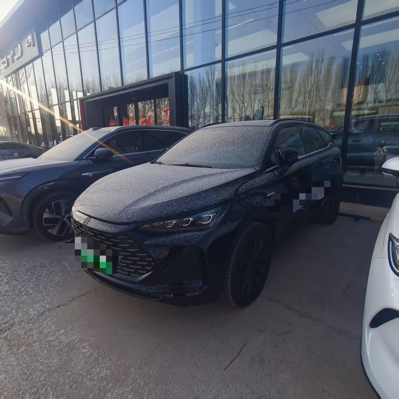 BYD Tang New Energy 2025 car image 