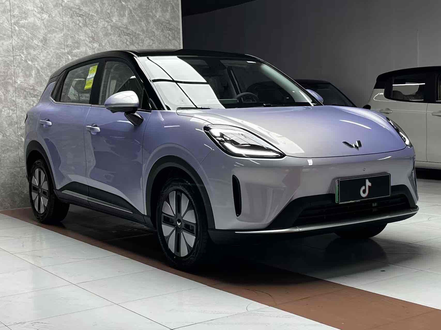 Wuling Compact Electric SUV 2025 Wuling Compact Electric SUV 2025 汽车图片