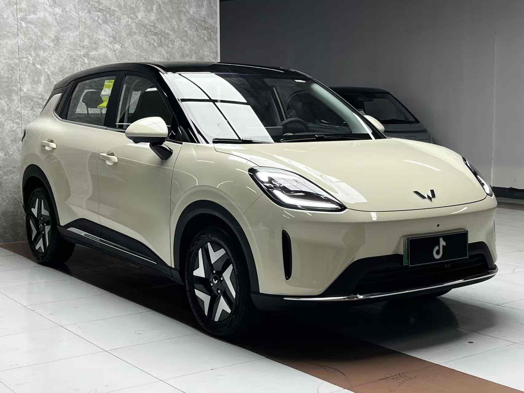 Wuling Compact Electric SUV 2025 Wuling Compact Electric SUV 2025 汽车图片