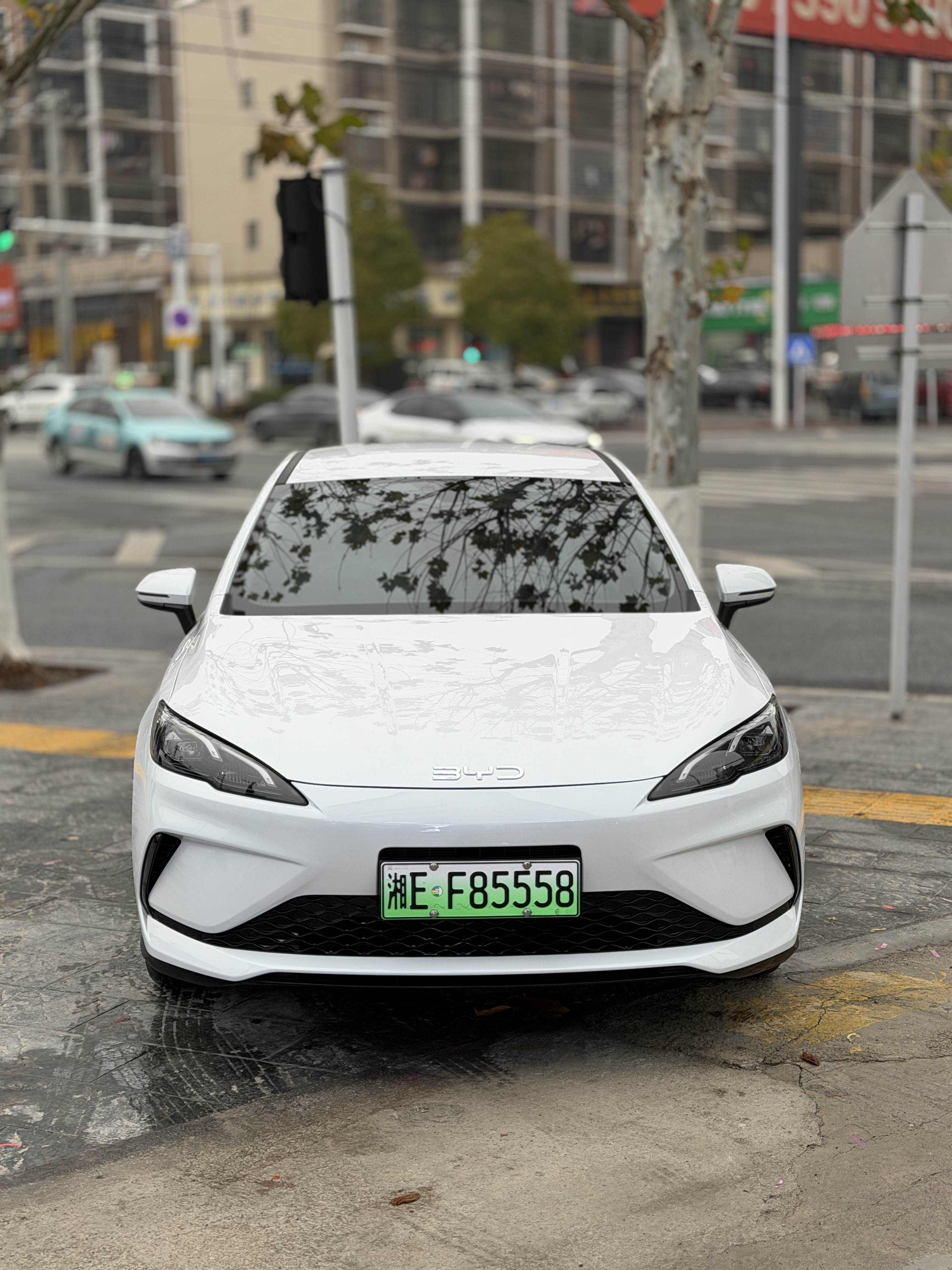 BYD Seal 05 DM-i 2025 car image 