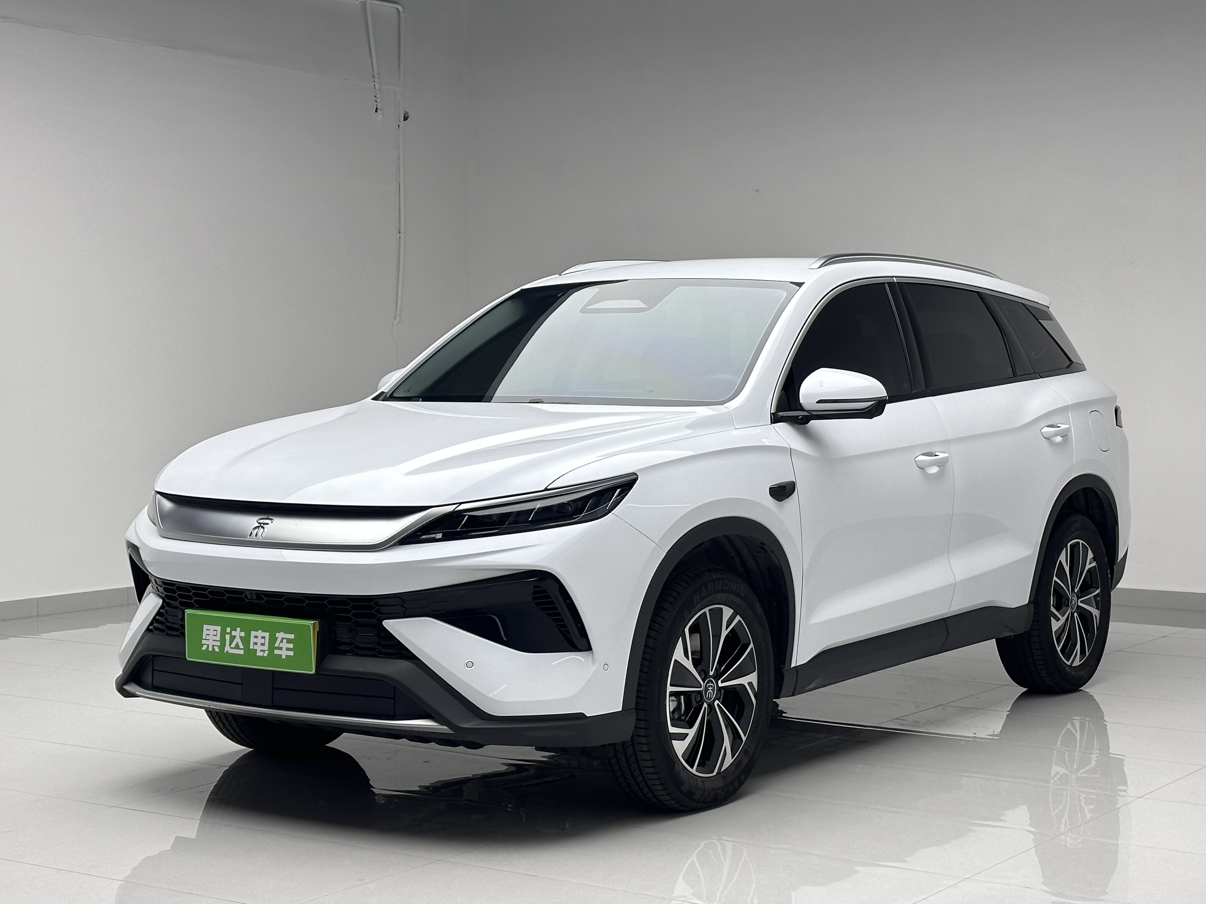 BYD Song Pro New Energy 2025 car image 