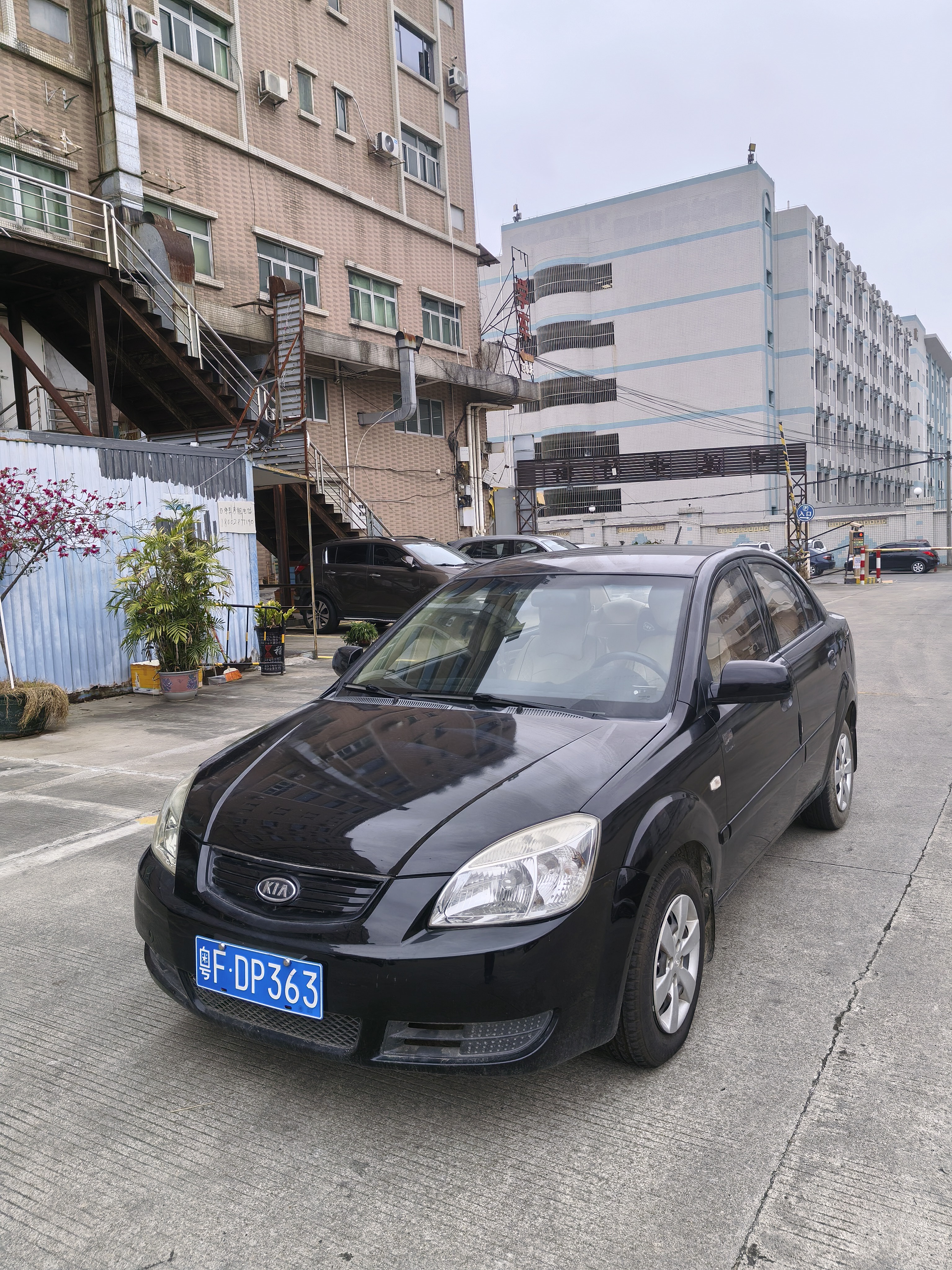 Kia Rio 2010 汽车图片 