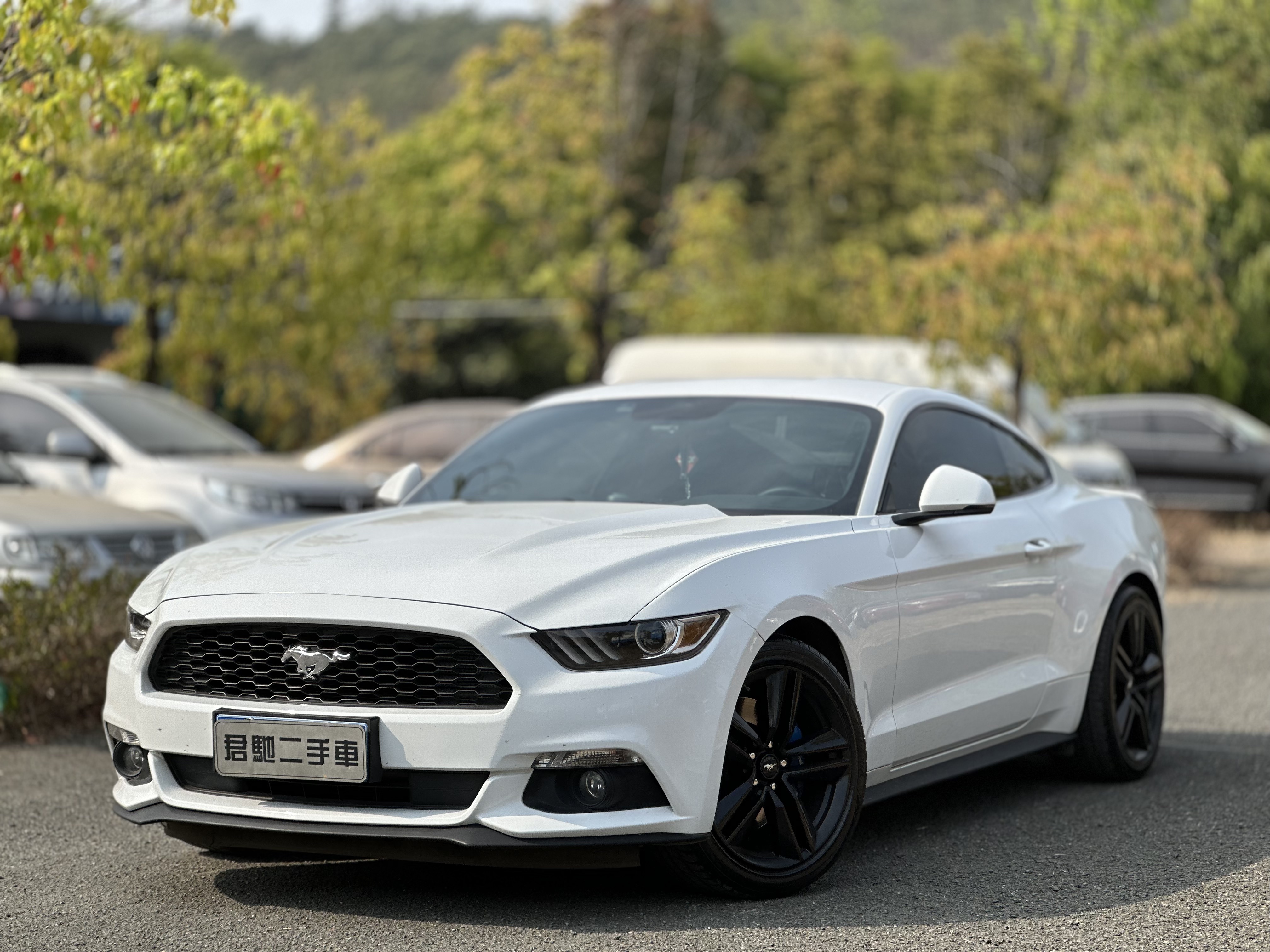 Ford Mustang 2015 car image 