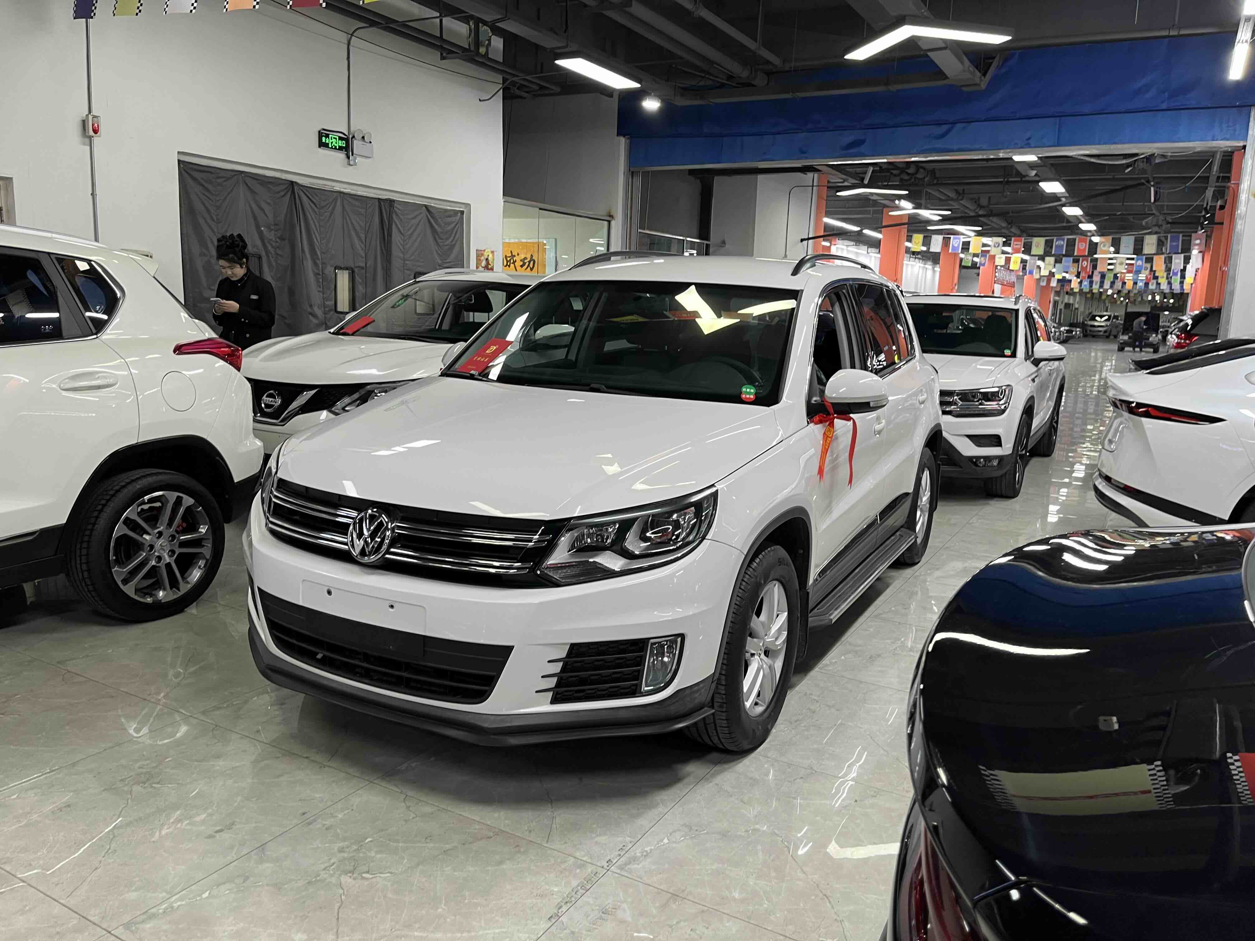 Volkswagen Tiguan 2015 car image 