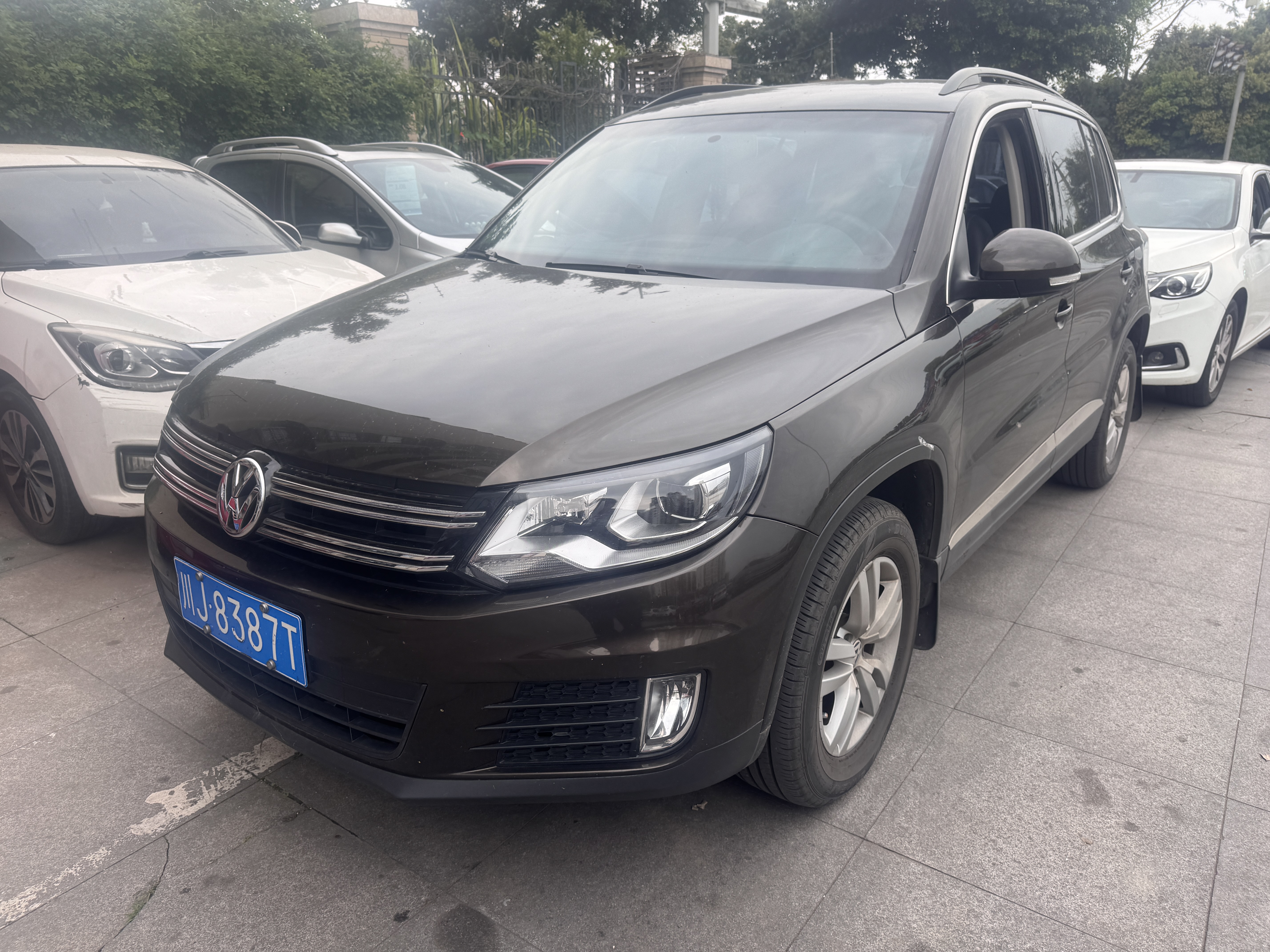 Volkswagen Tiguan 2016 汽车图片 