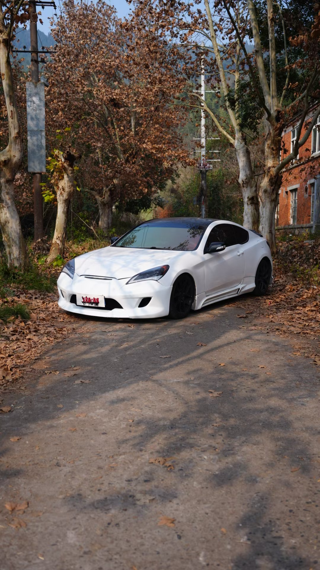 Hyundai Rohens-Coupe 2011 Hyundai Rohens-Coupe 2011 car image