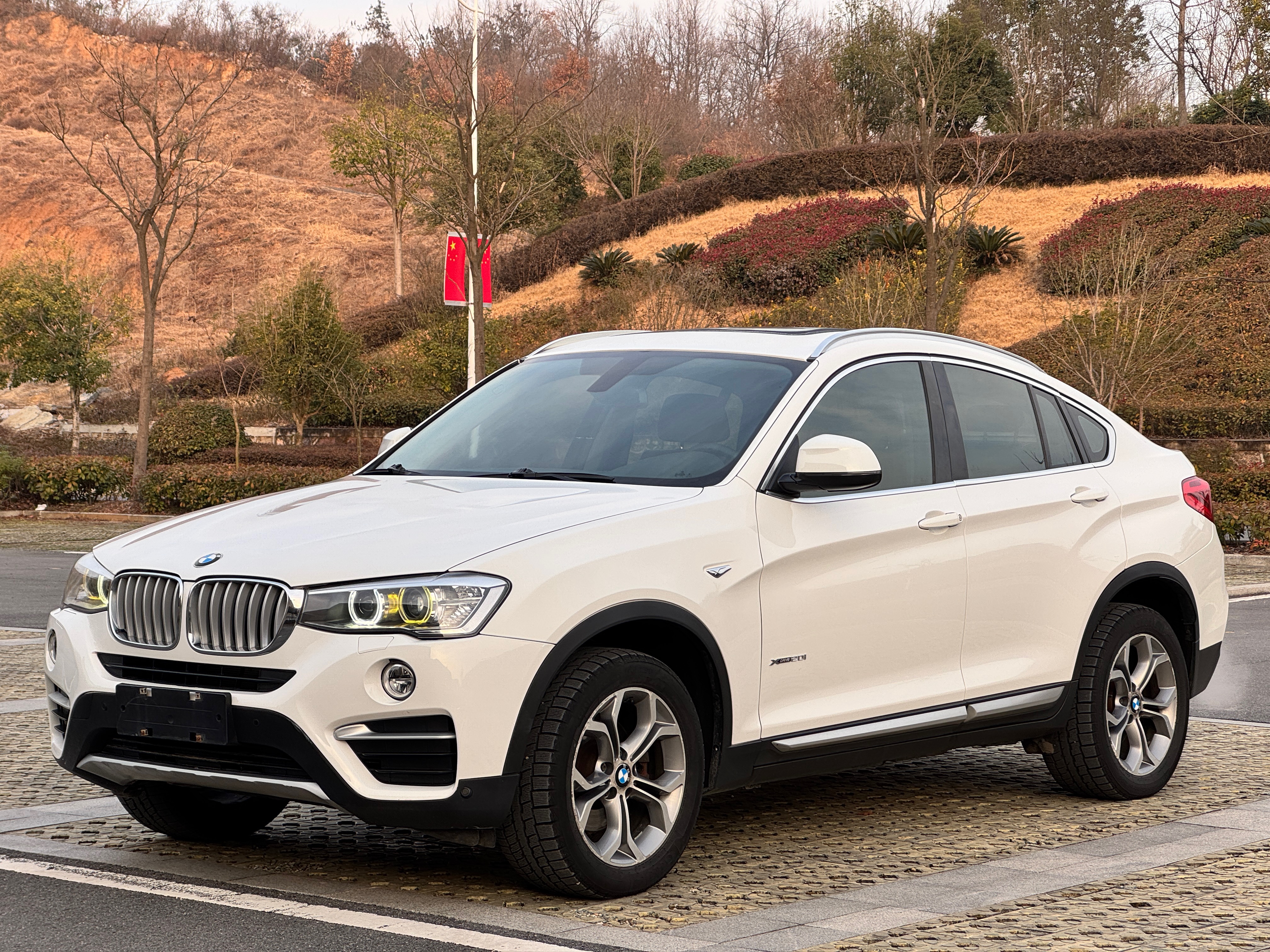 BMW X4 2015 immagine di auto 