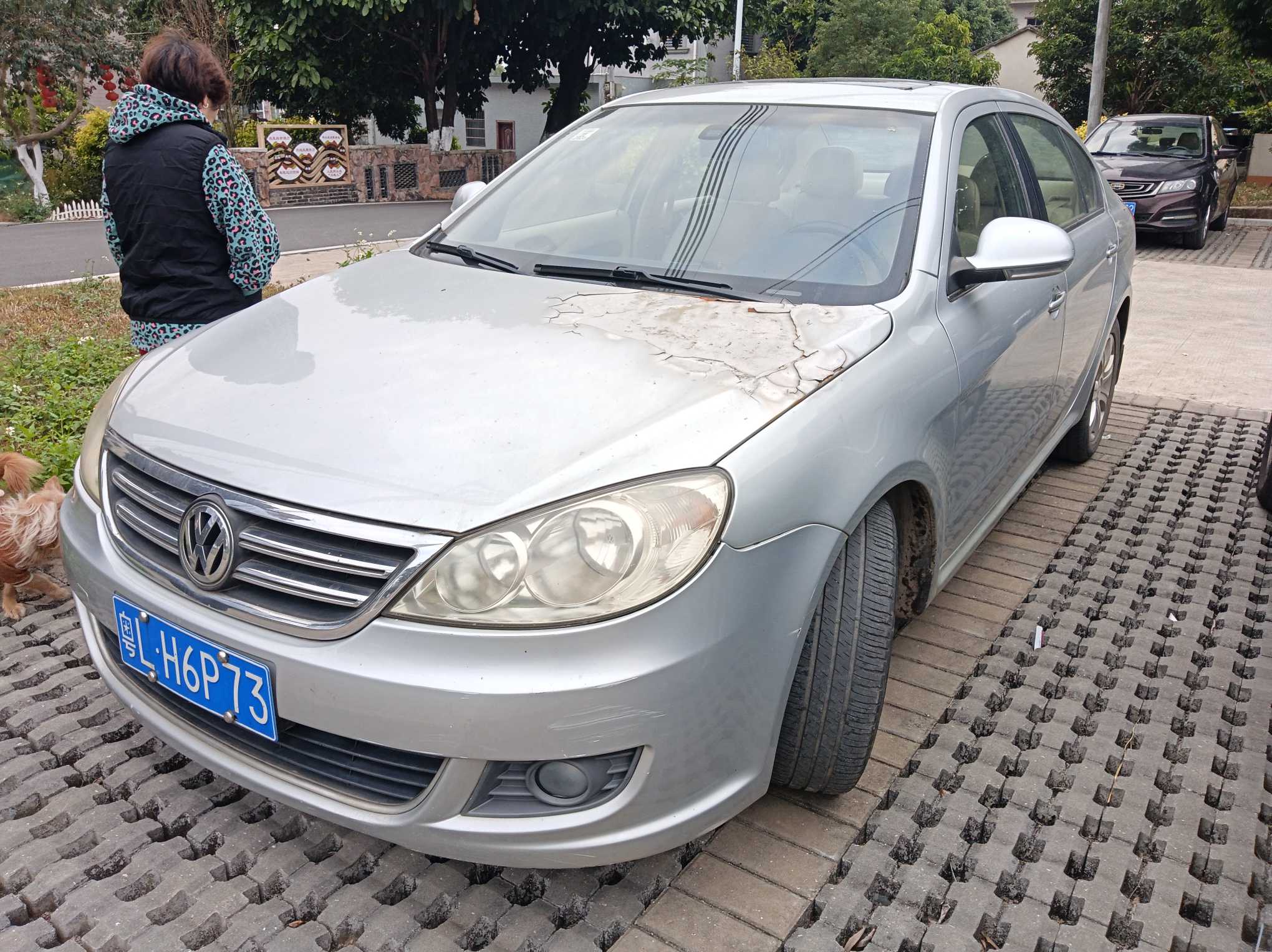 Volkswagen Lavida 2009 Volkswagen Lavida 2009 car image