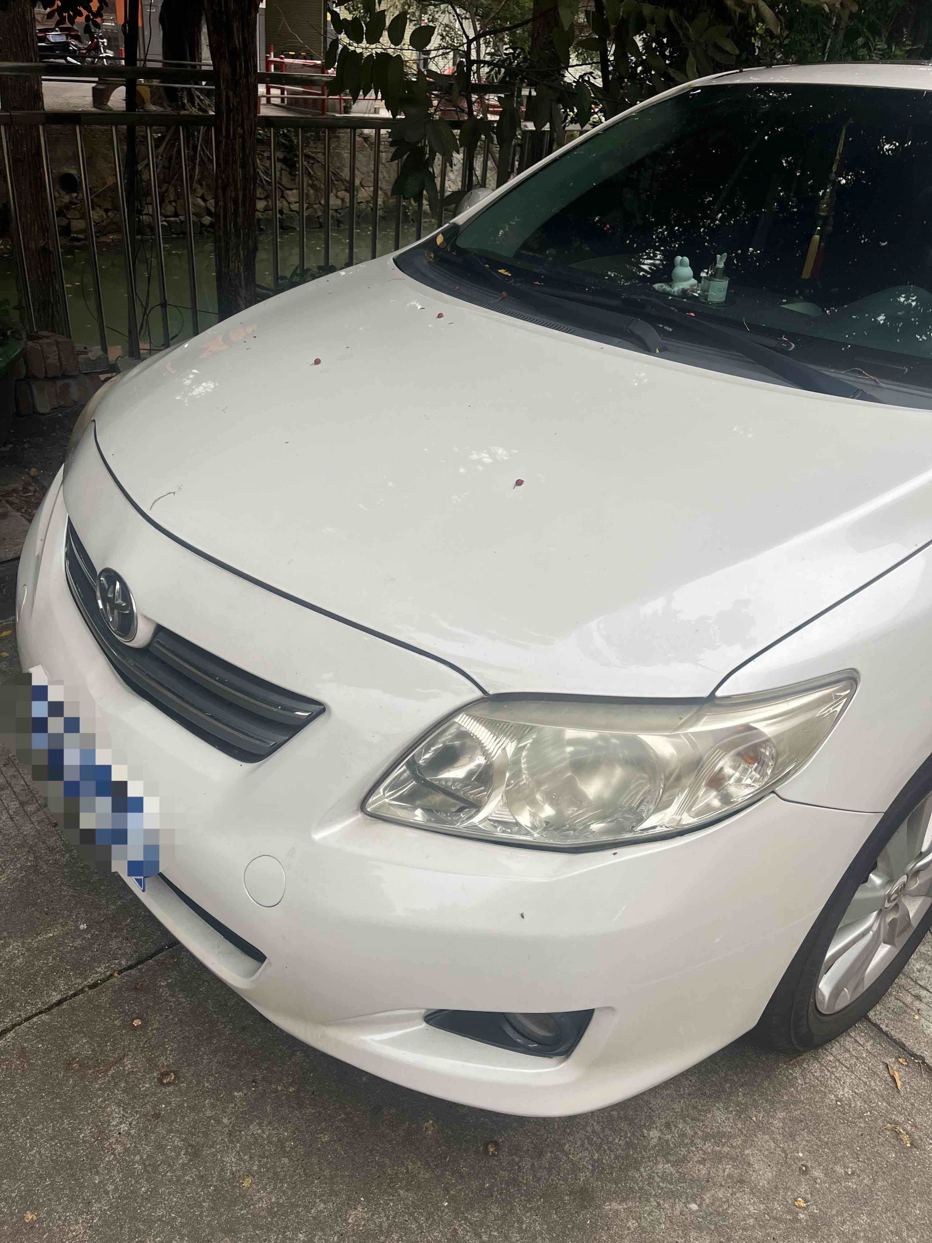 Toyota Corolla 2010 car image 