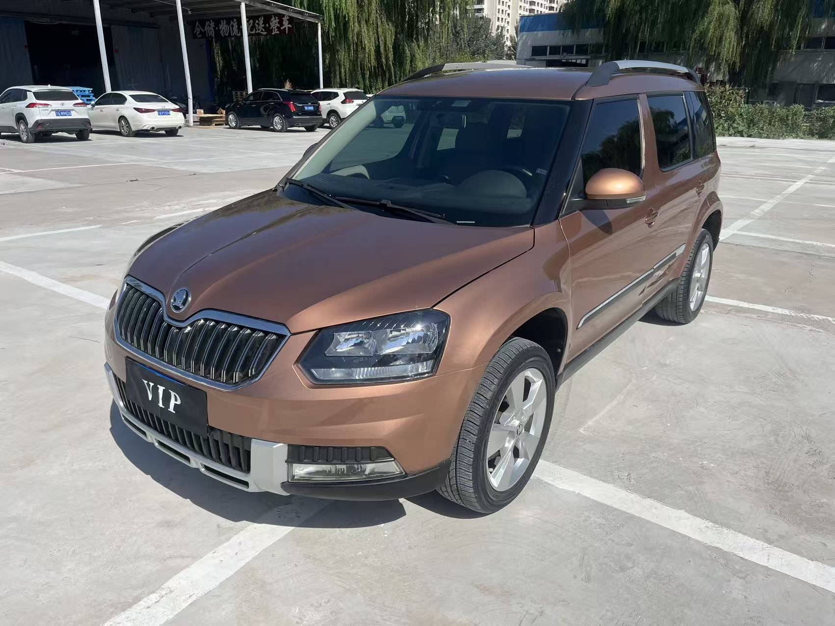 Skoda Yeti 2016 immagine di auto 