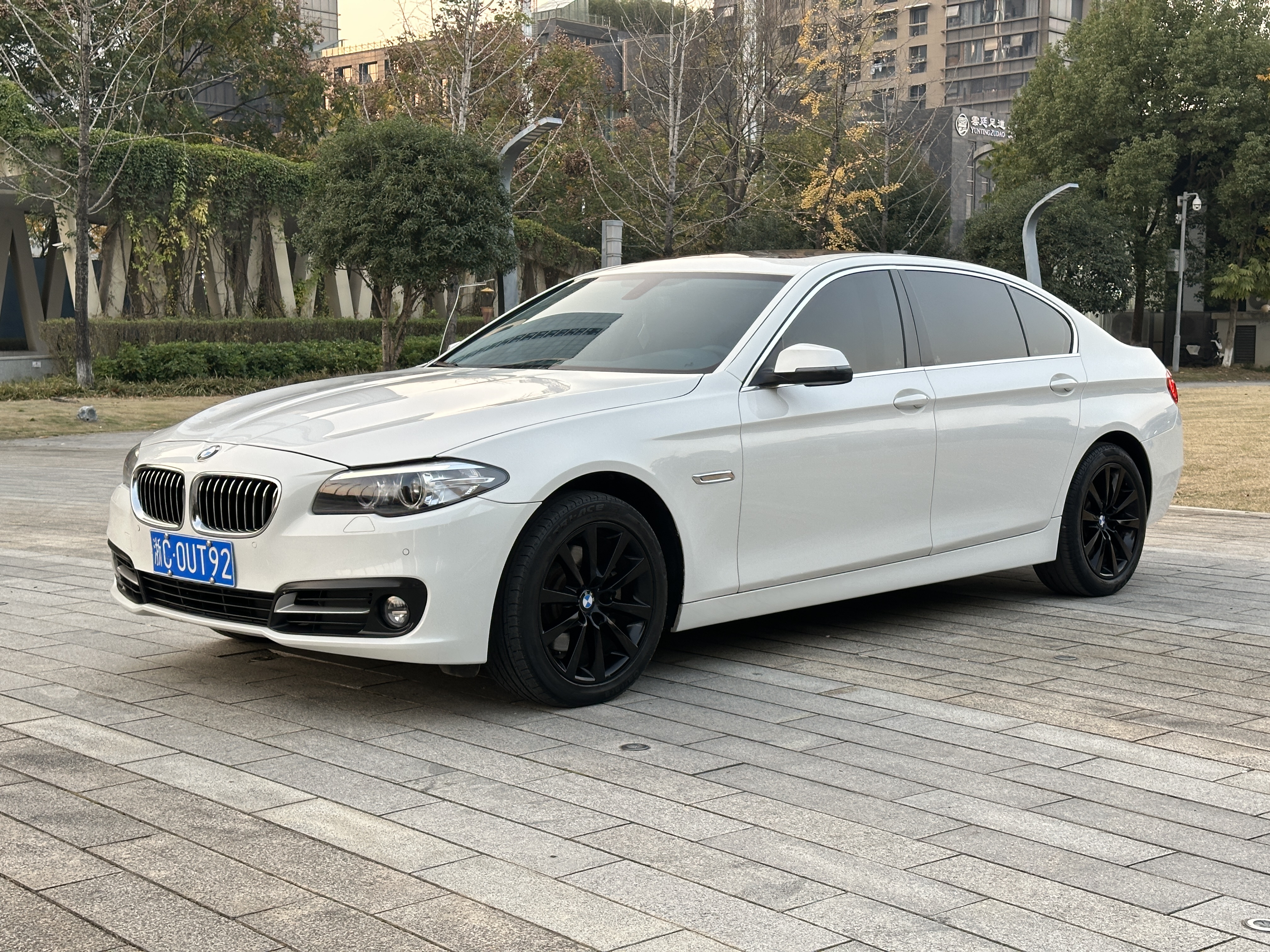 BMW 5 Series 2014 car image 