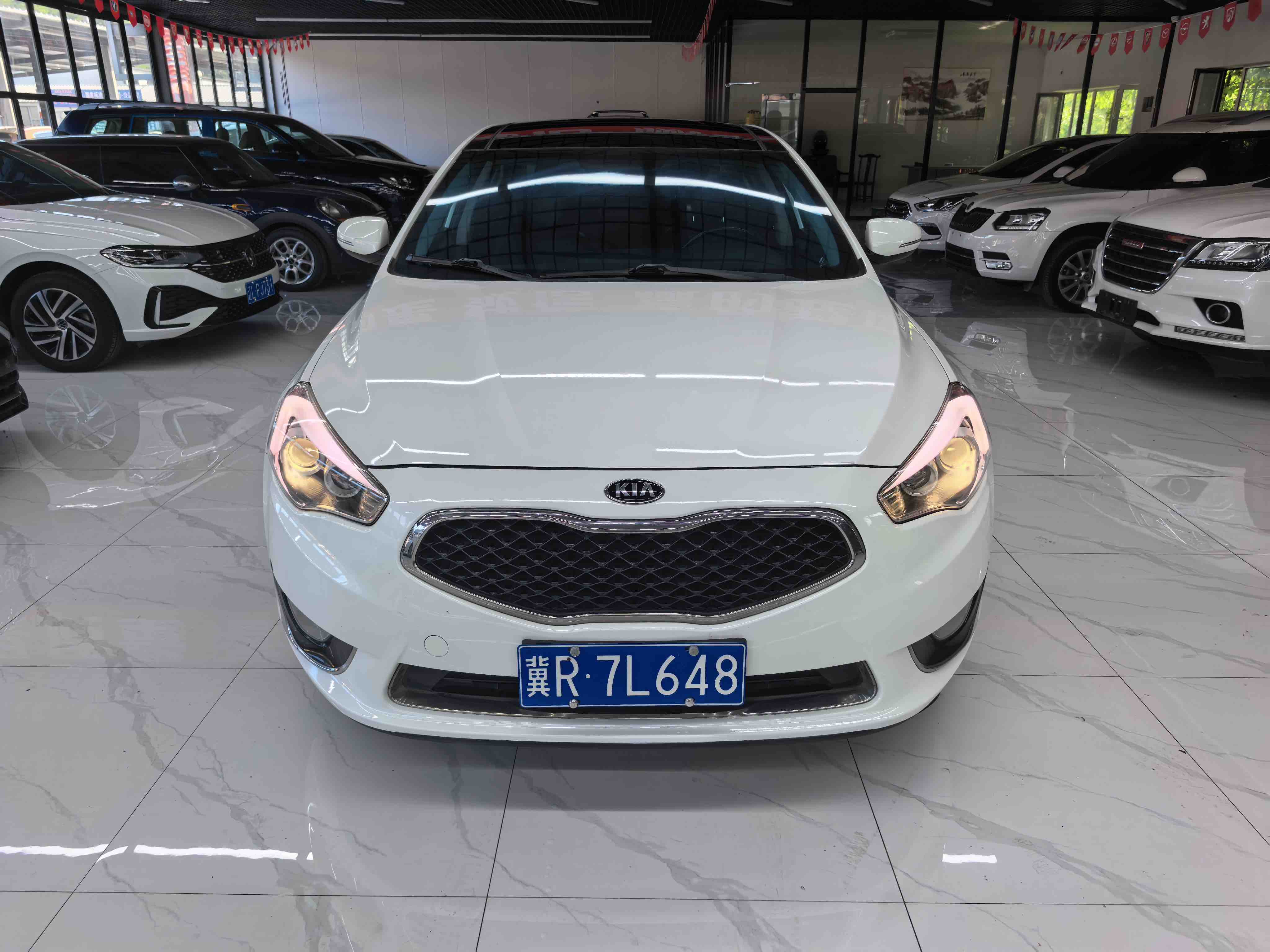 Kia Cadenza 2014 汽车图片 