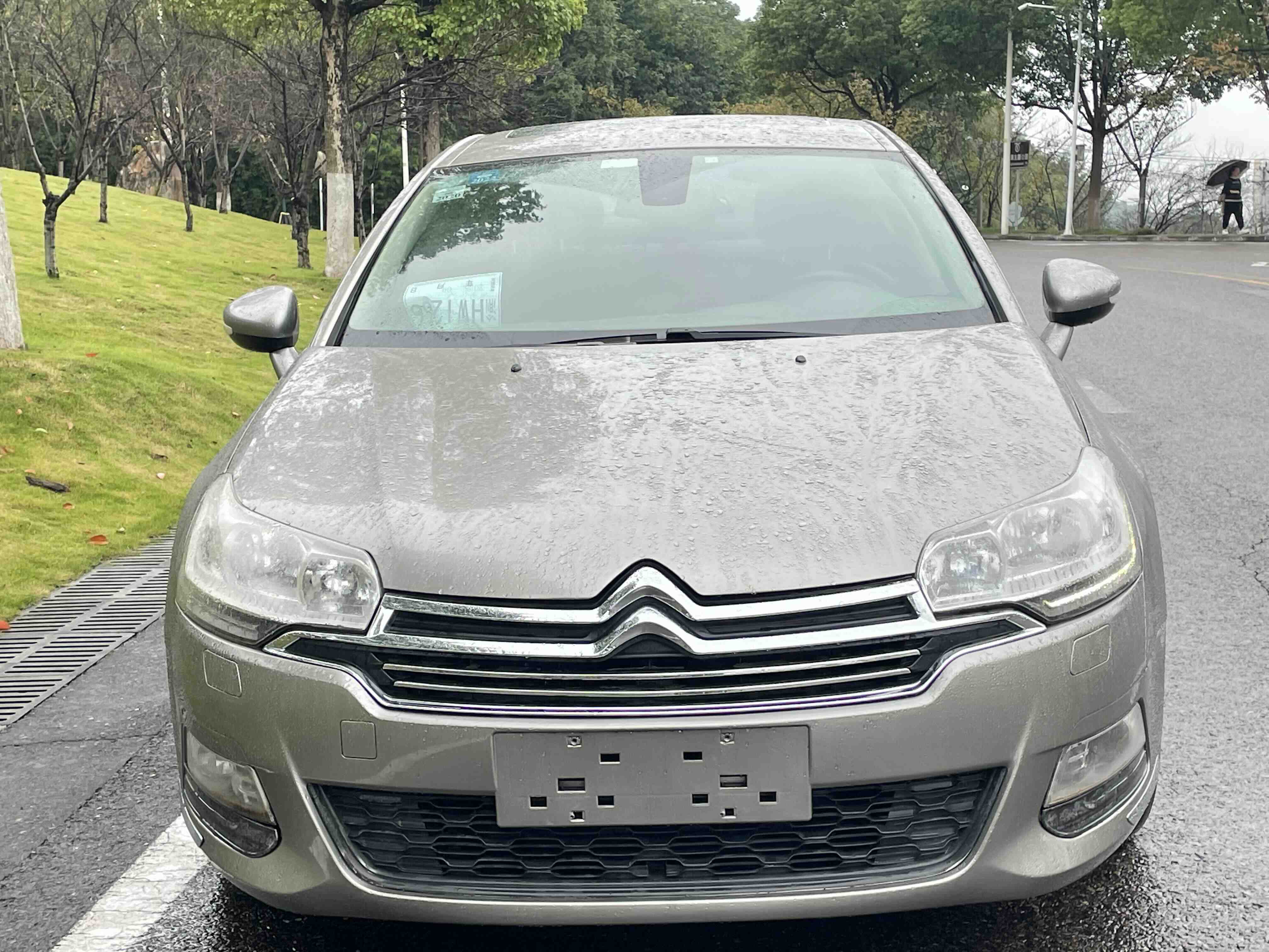 Citroen C5 2016 immagine di auto 