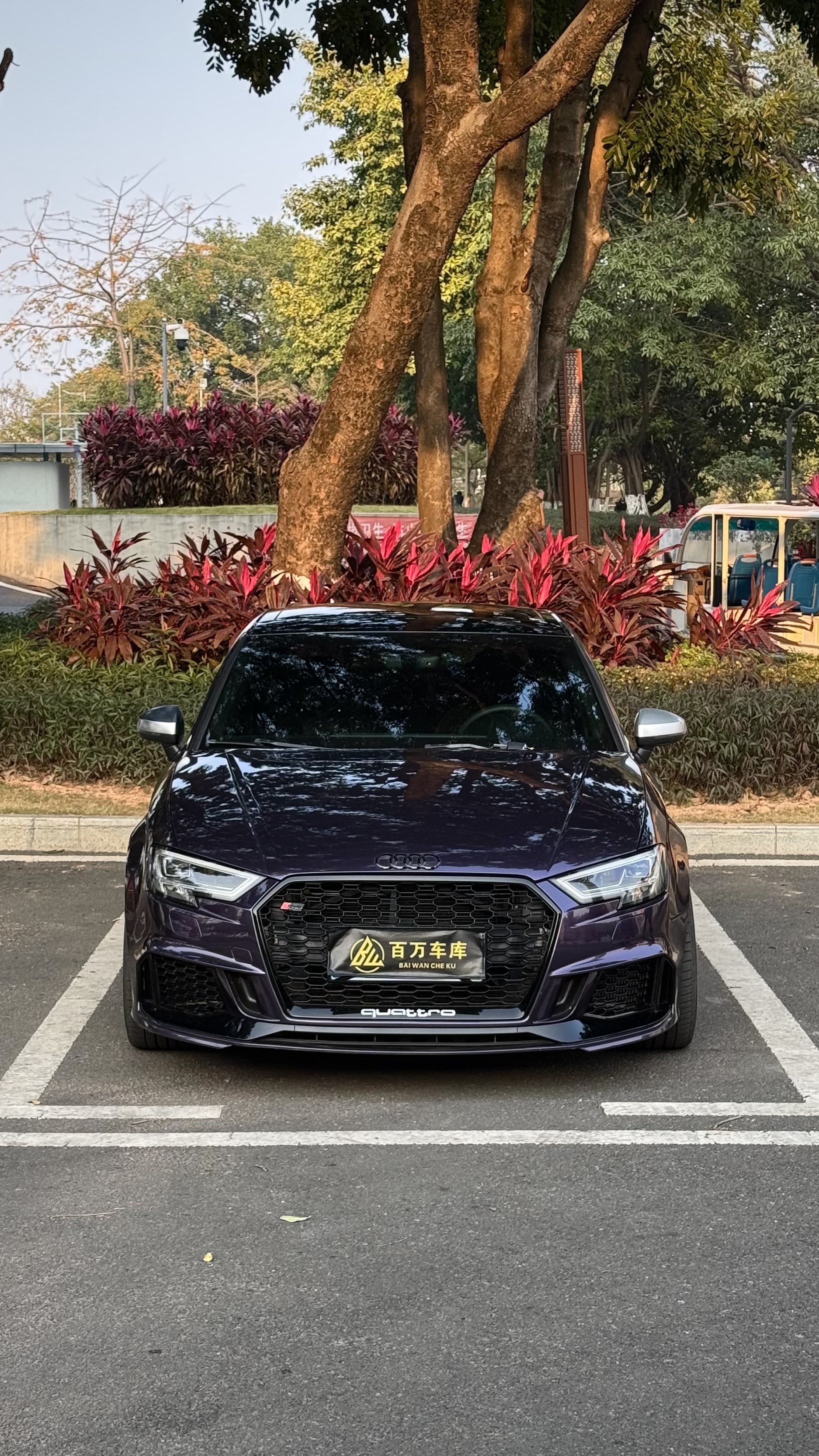 Audi S3 2016 Audi S3 2016 car image