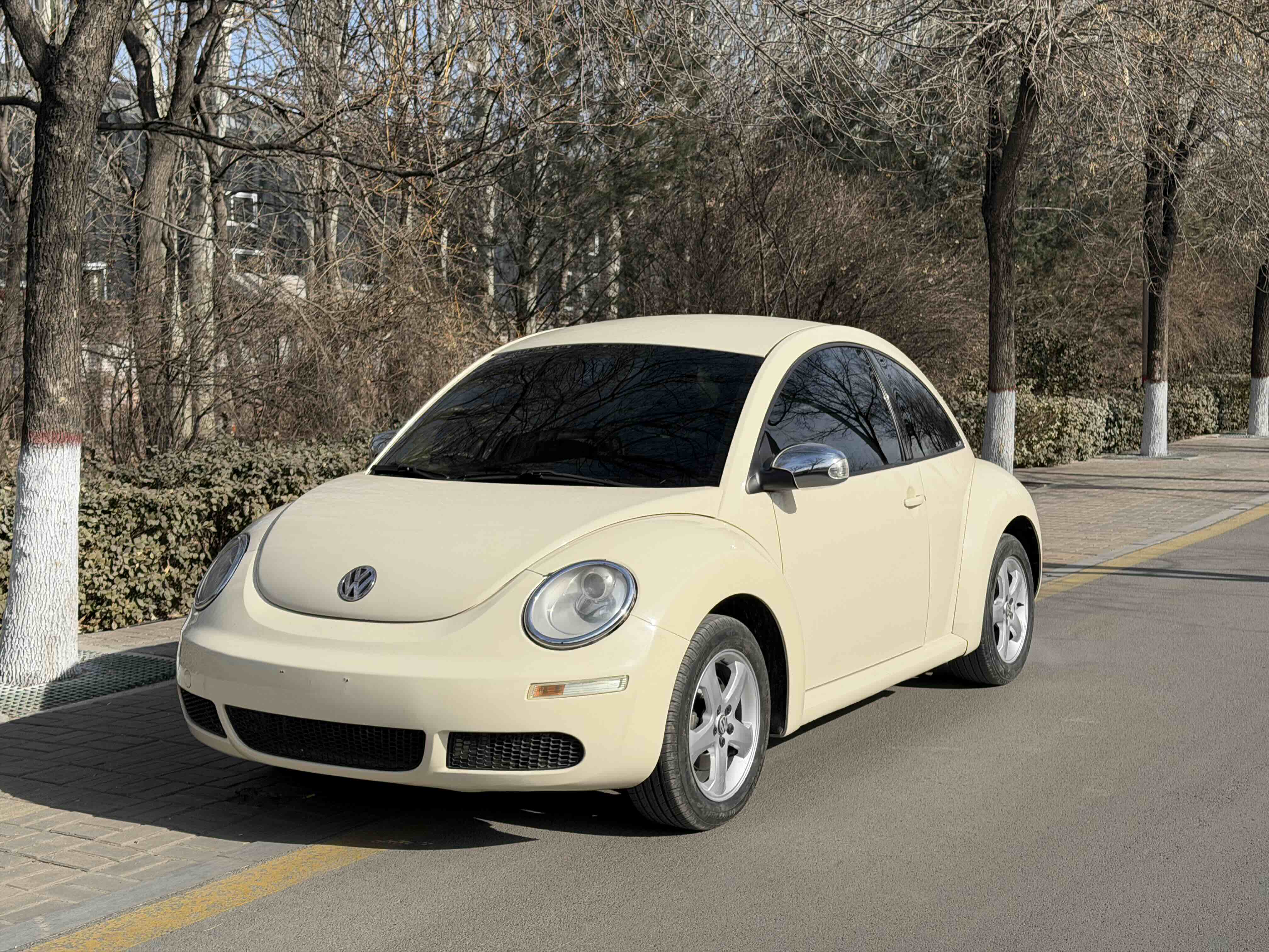 Volkswagen Beetle 2010 Volkswagen Beetle 2010 immagine di auto