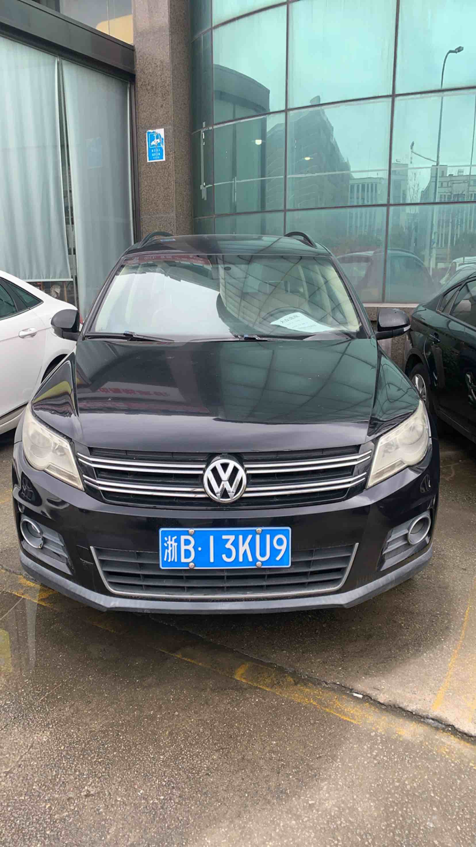Volkswagen Tiguan 2011 汽车图片 
