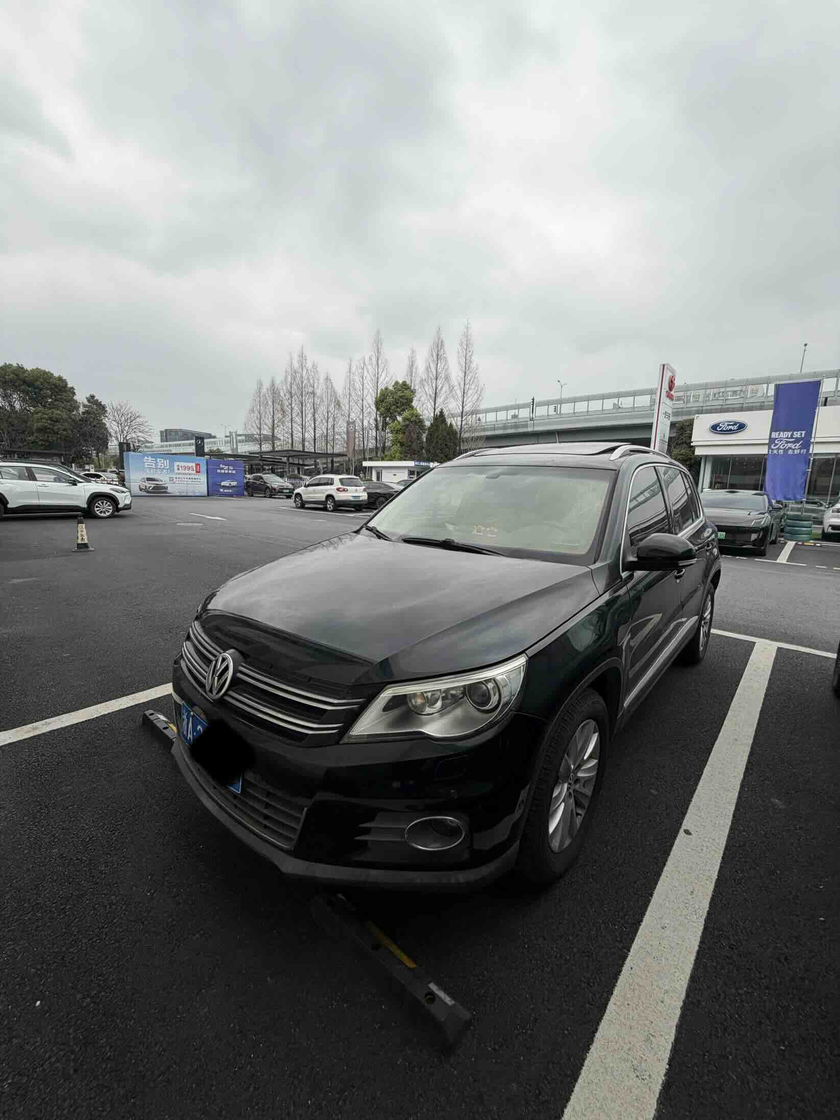 Volkswagen Tiguan 2013 汽车图片 