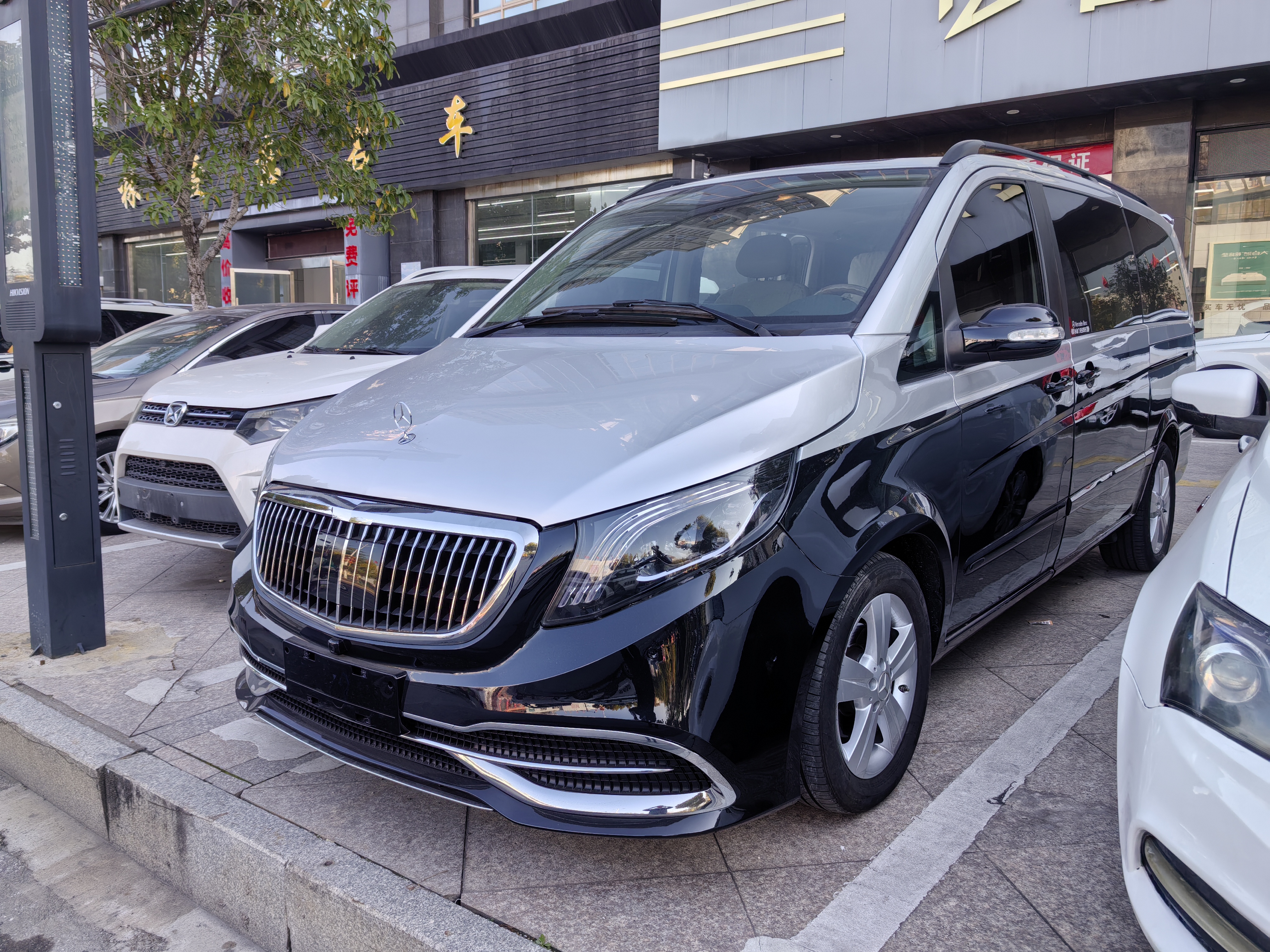 Mercedes-Benz Viano 2010 汽车图片 