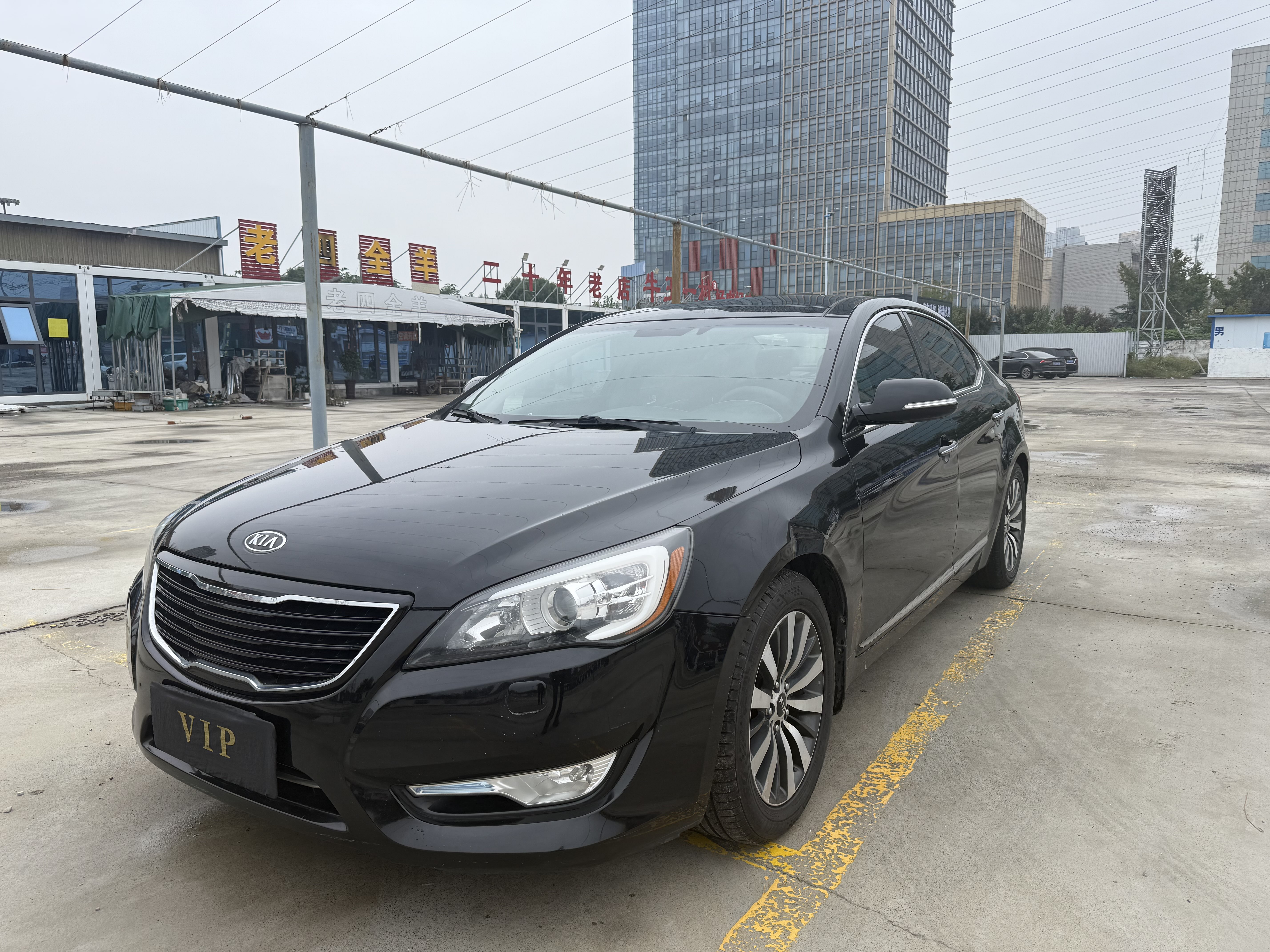 Kia Cadenza 2011 汽车图片 