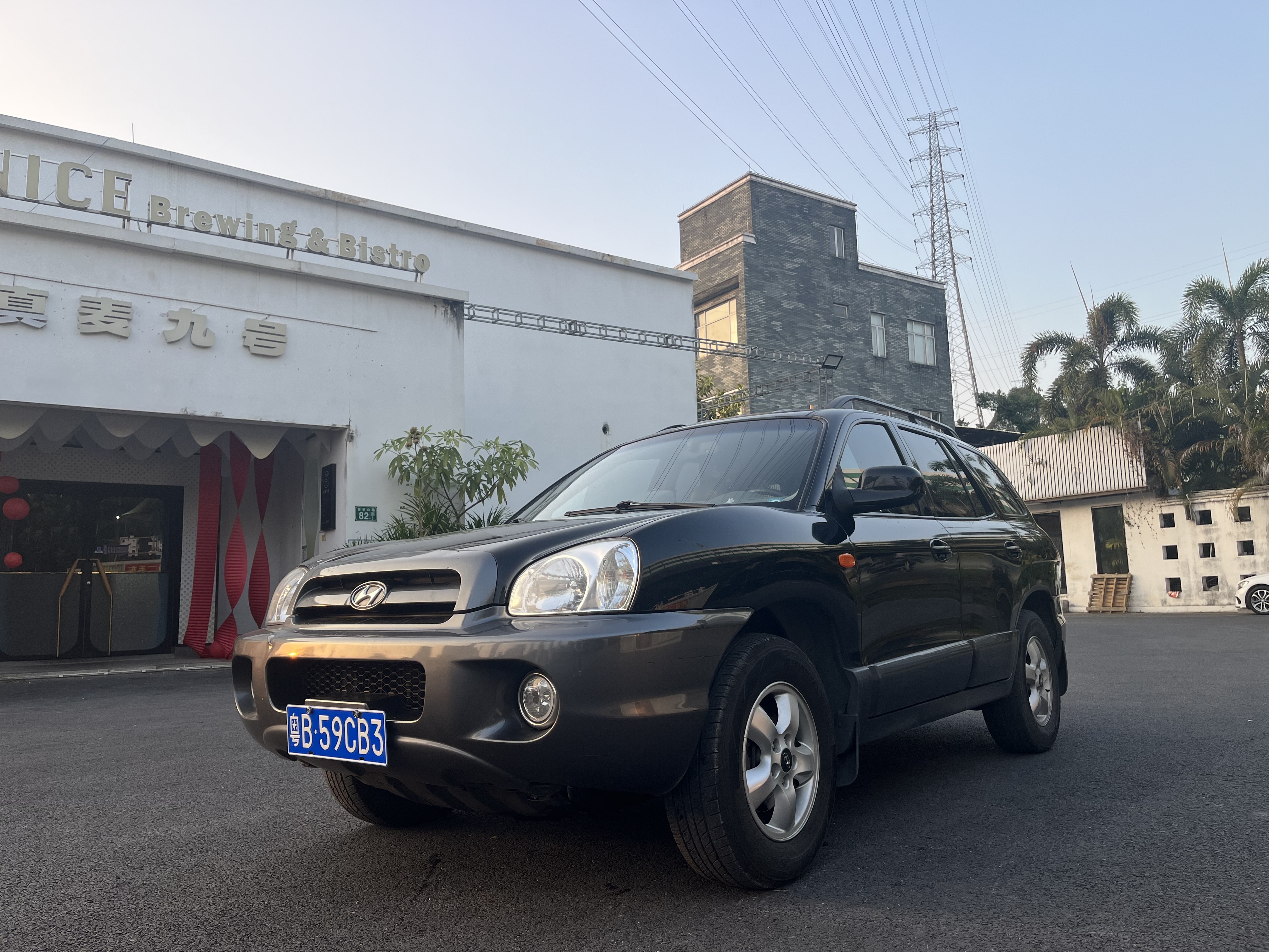 Hyundai Santa Fe Classic 2006 car image 