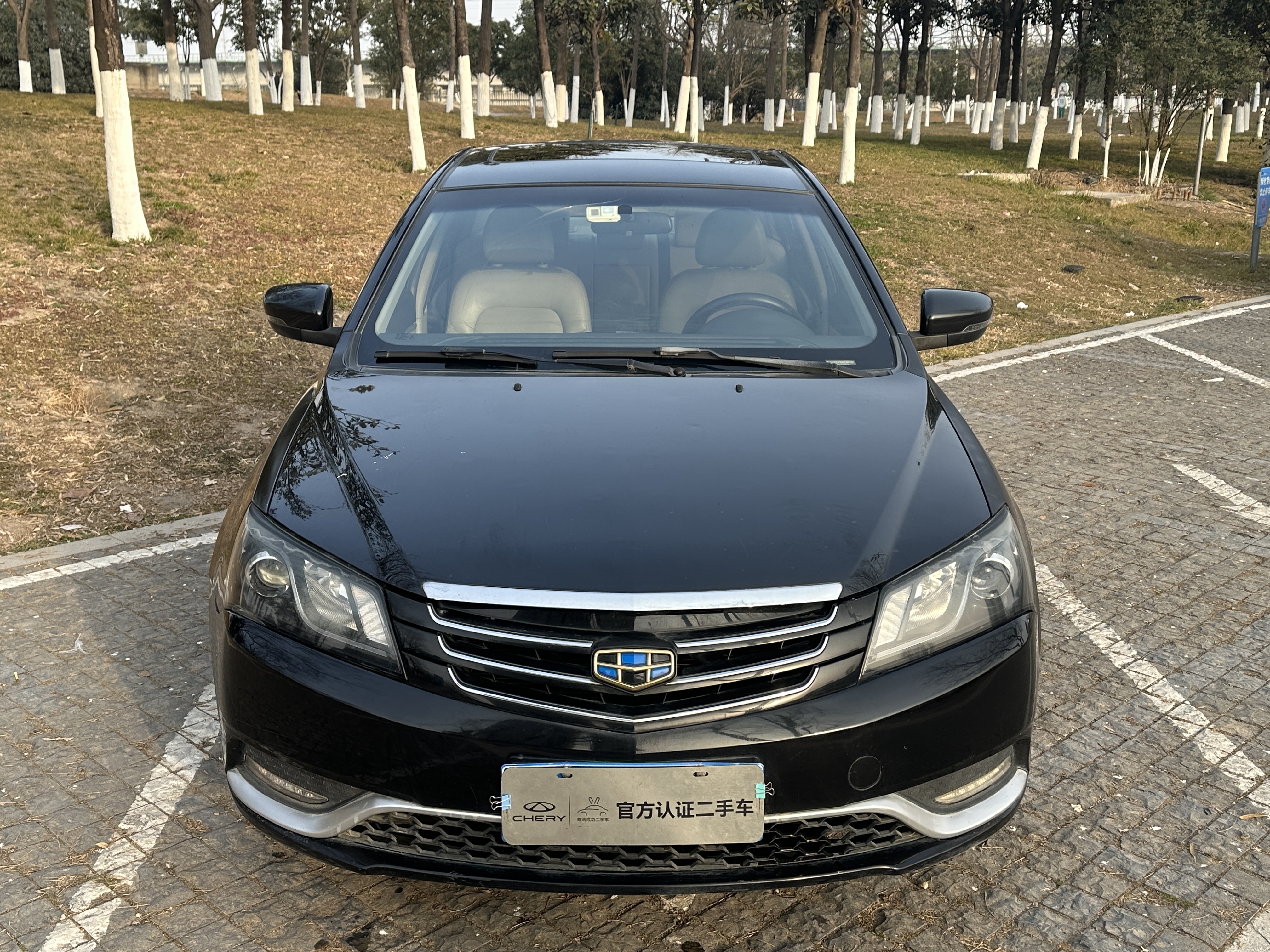Emgrand 2015 Emgrand 2015 car image