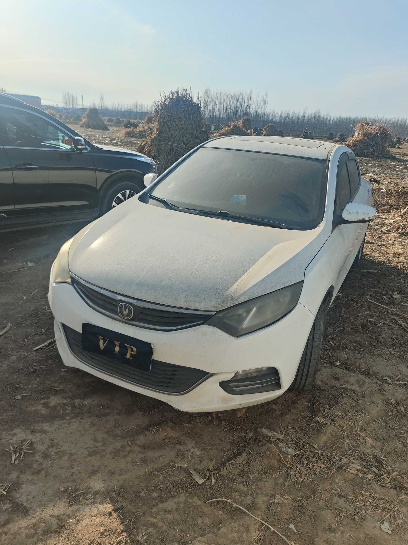 Changan Eado 2014 car image 
