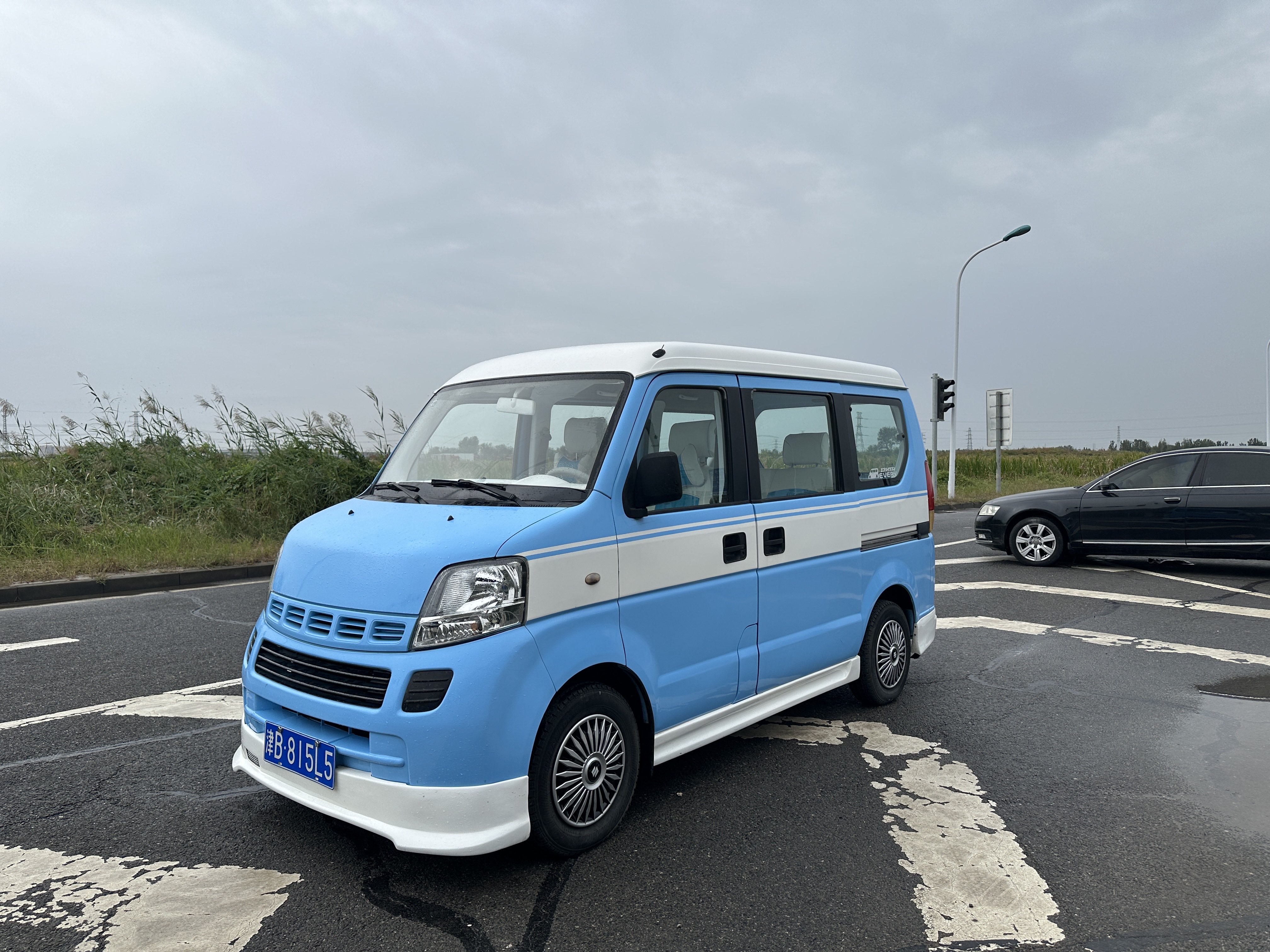 Suzuki Landy 2009 immagine di auto 