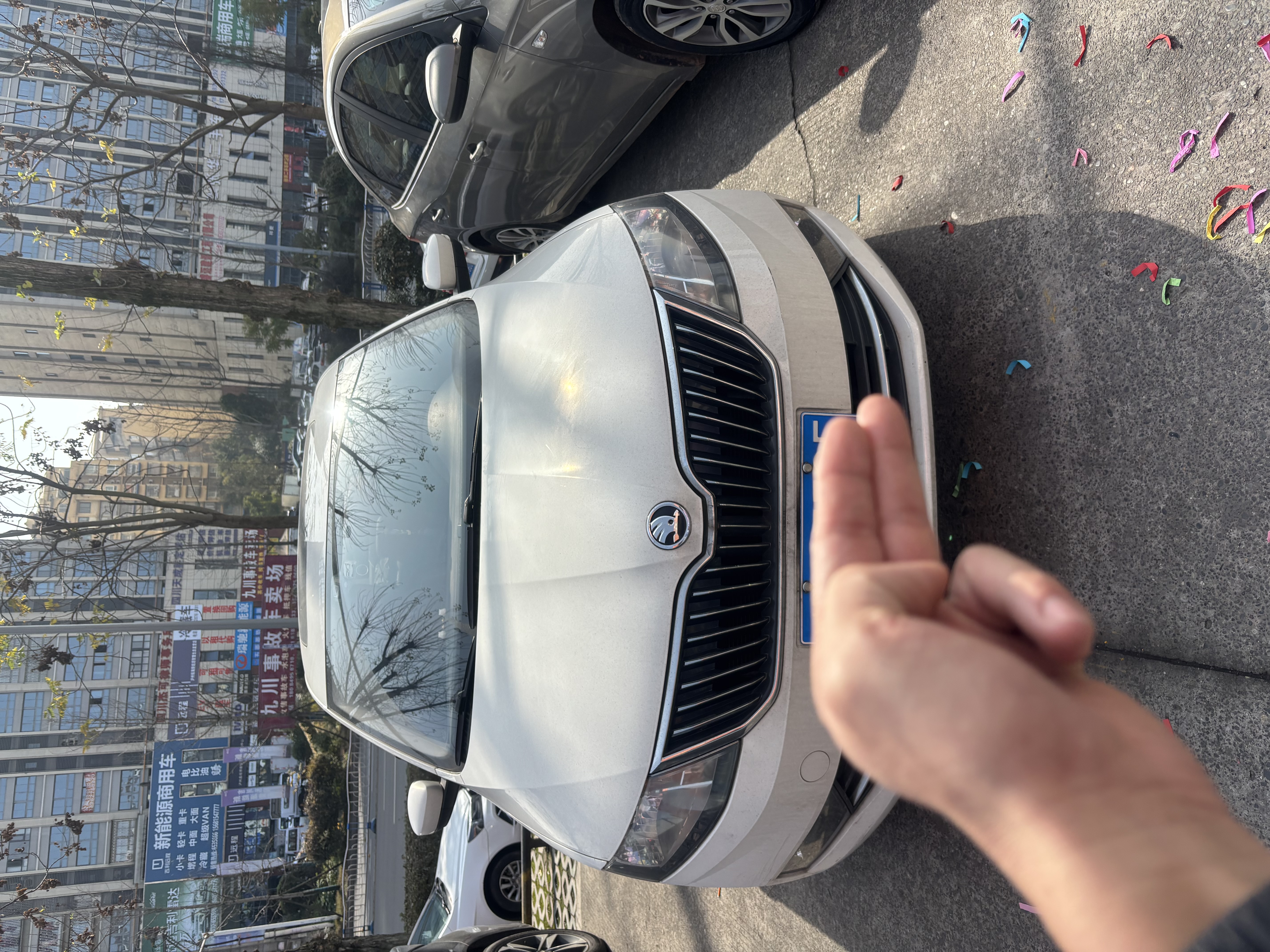 Skoda 2017 Skoda 2017 car image