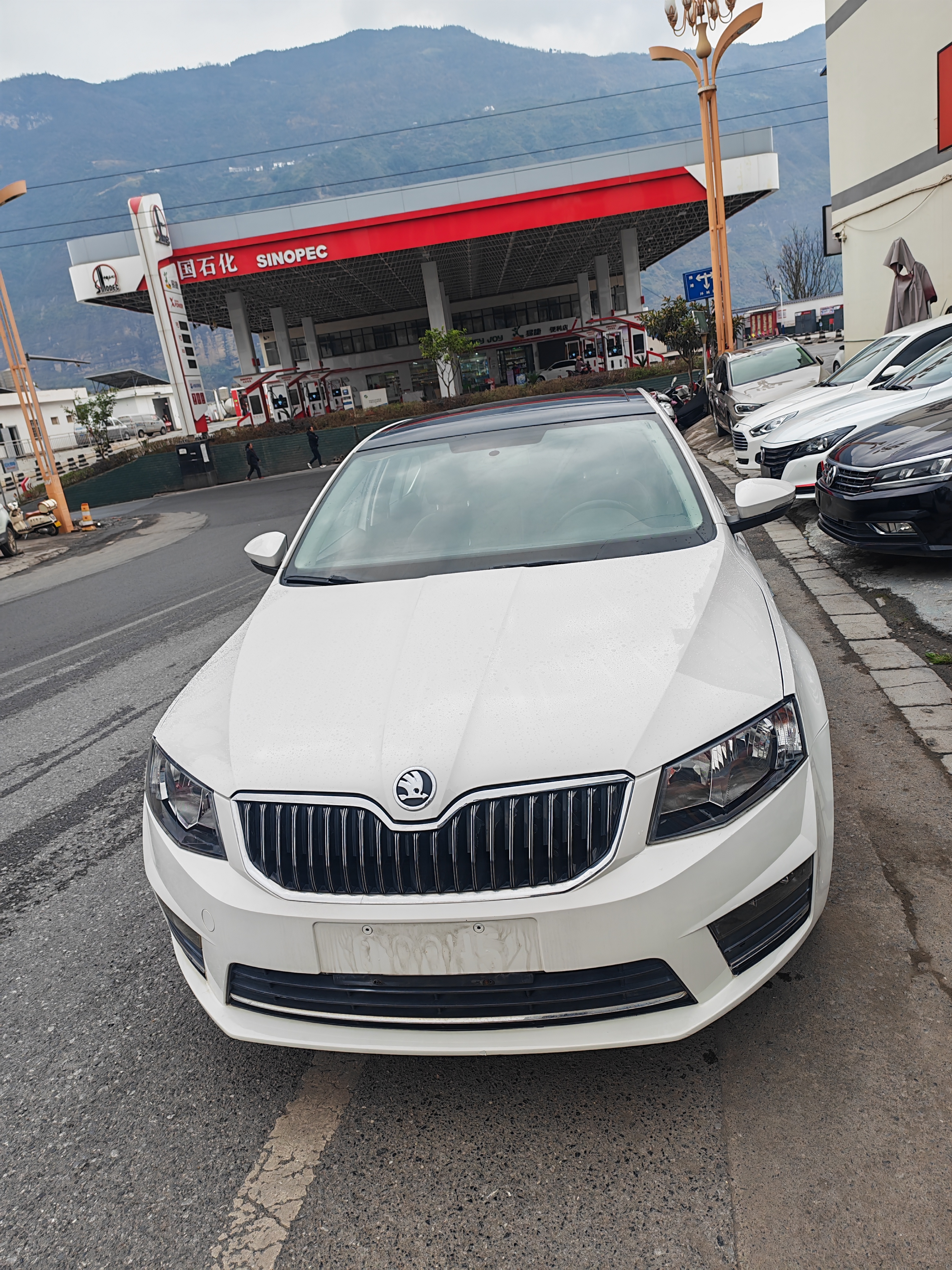 Skoda Octavia 2016 immagine di auto 