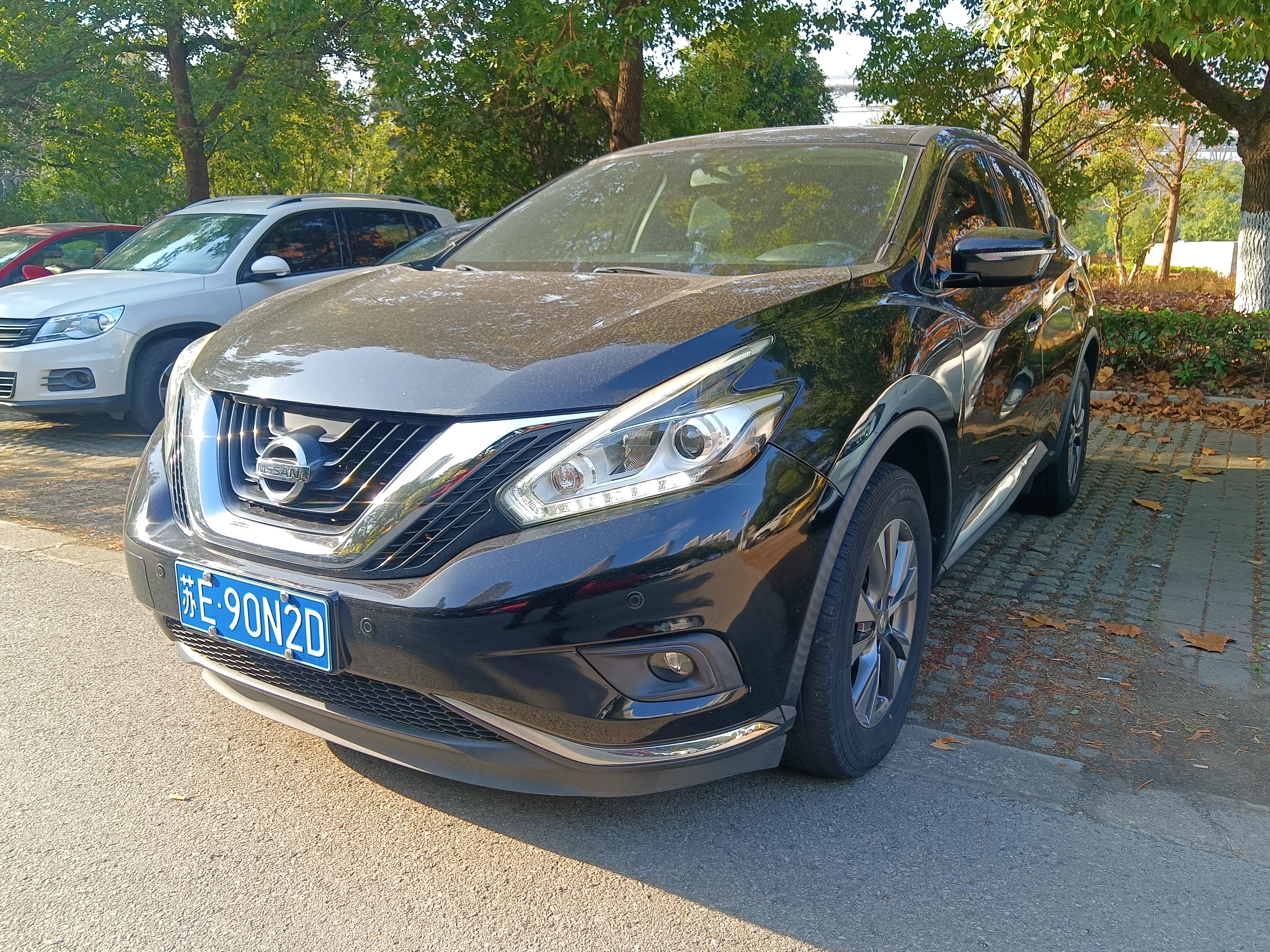 Nissan Murano 2017 汽车图片 