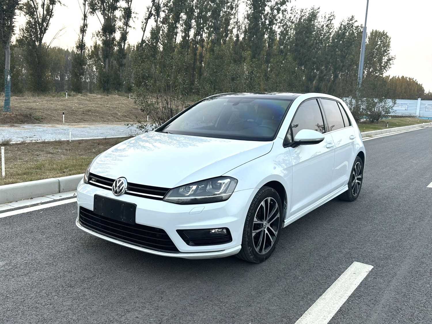 Volkswagen Golf 2016 Volkswagen Golf 2016 car image
