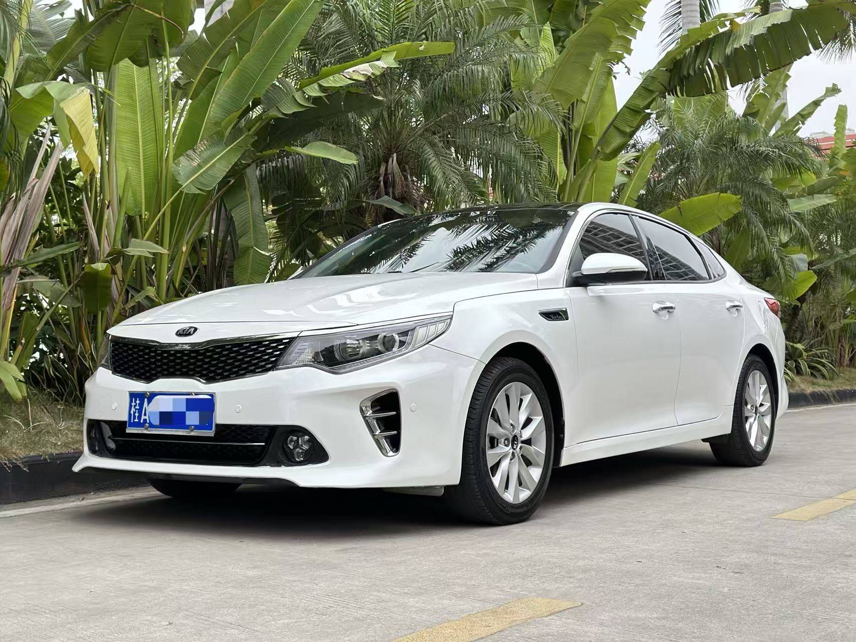 Kia K5 2016 汽车图片 