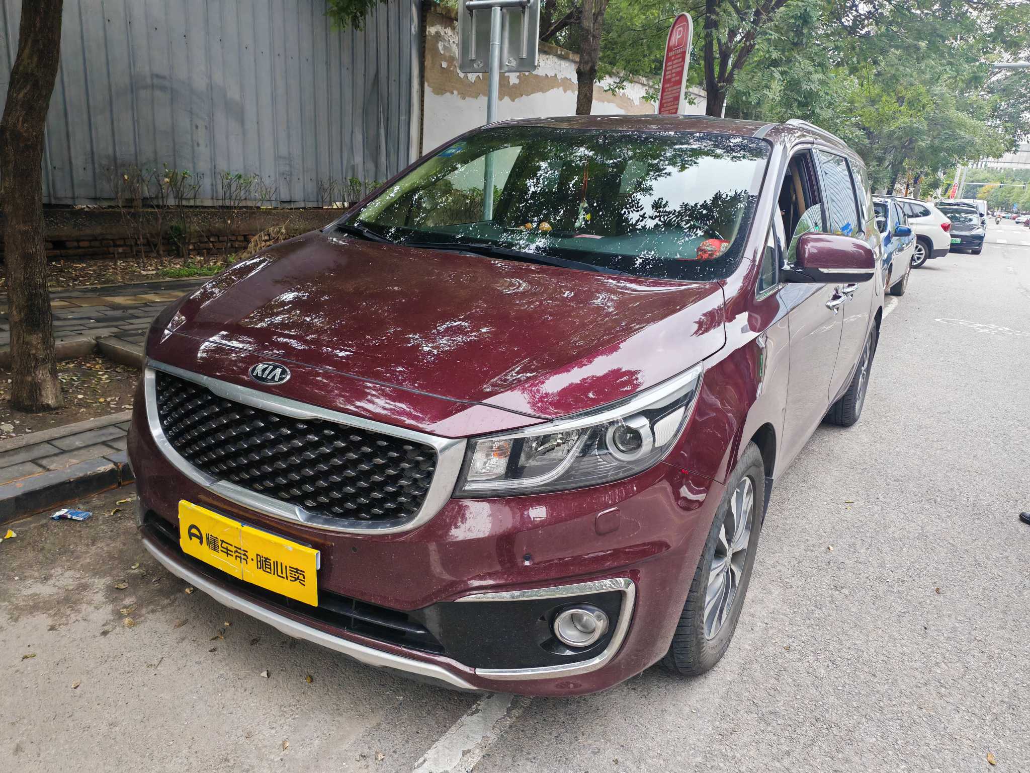 Kia Carnival (Imported) 2016 汽车图片 