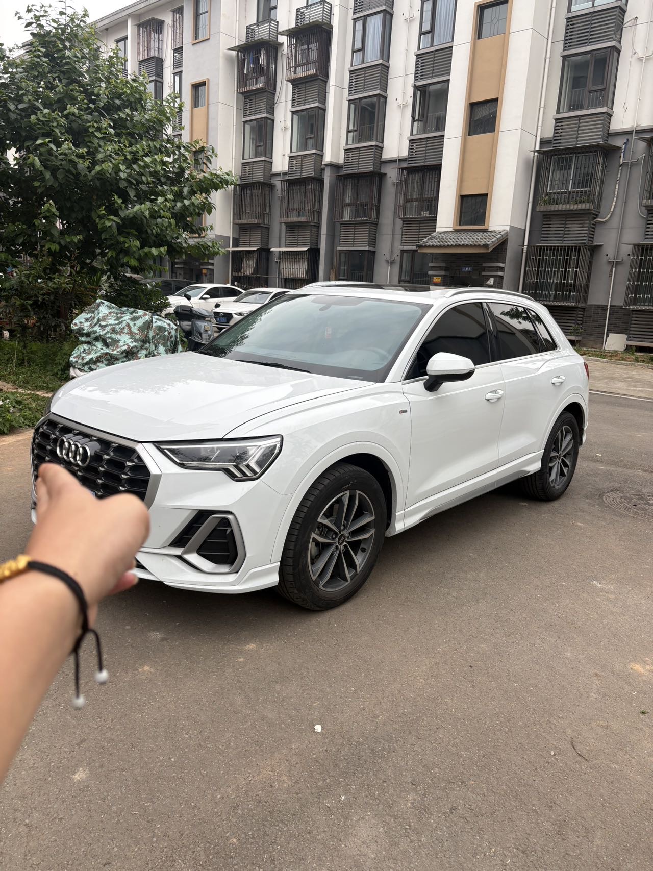 Audi Q3 2024 car image 