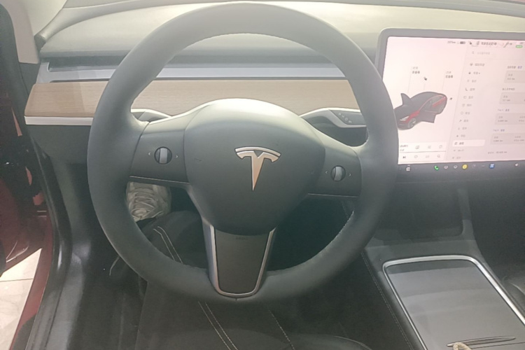 Tesla Model 3 2021 immagine di auto #11