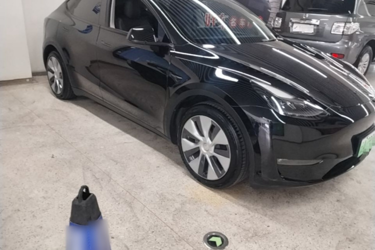 Tesla Model Y 2021 car image #4