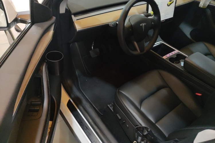 Tesla Model Y 2022 car image #16