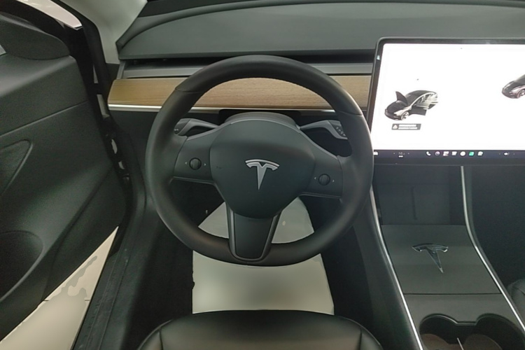 Tesla Model 3 2020 imagem de carro #15