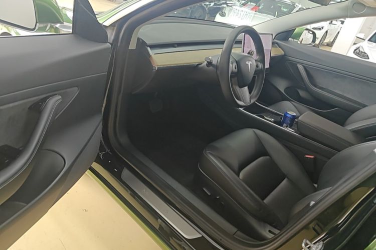 Tesla Model 3 2020 car image #16