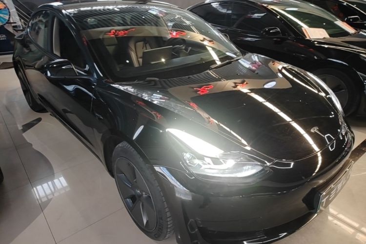 Tesla Model 3 2023 #4 Tesla Model 3 2023 car image #4