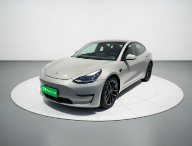 Tesla Model 3 2021 Tesla Model 3 2021 car image