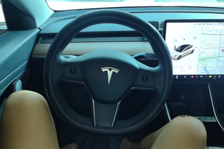 Tesla Model 3 2020 immagine di auto #11